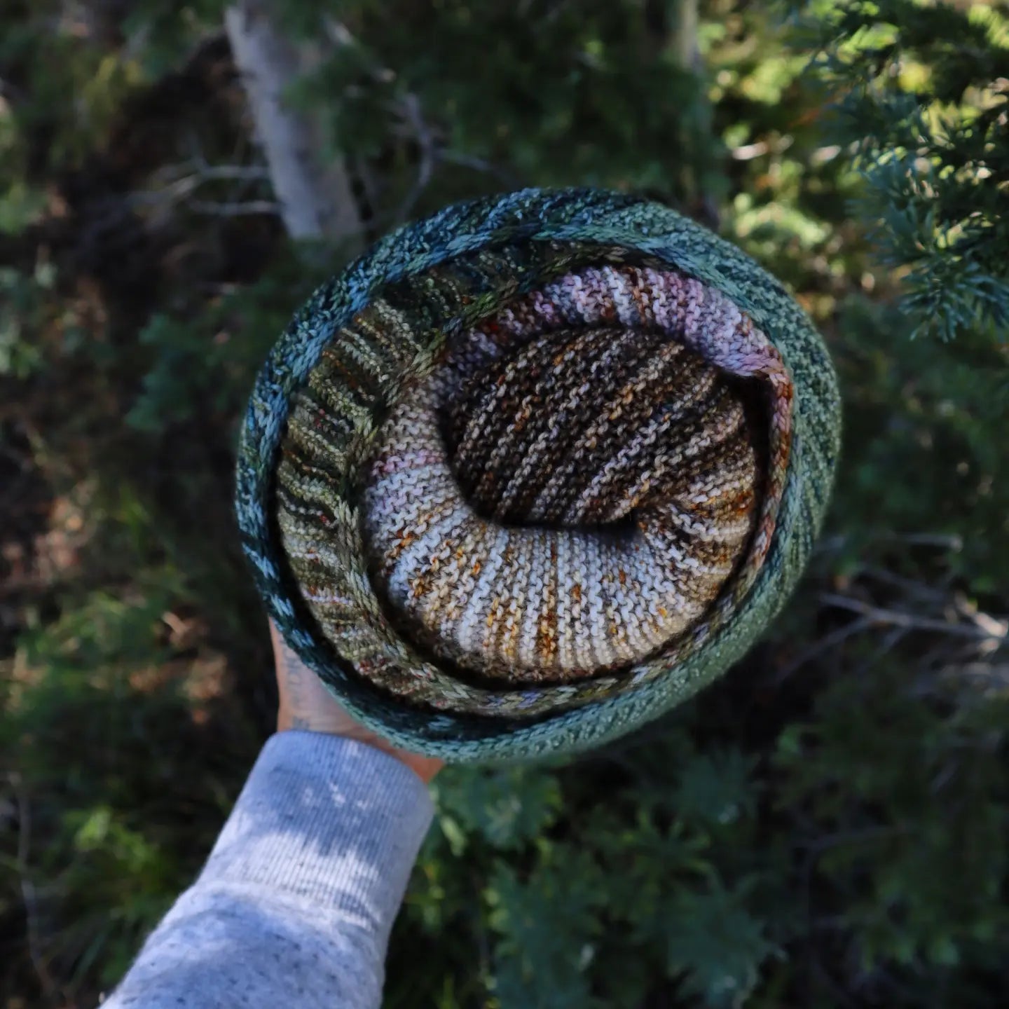 Additional Colorways (Boxelder Organic)