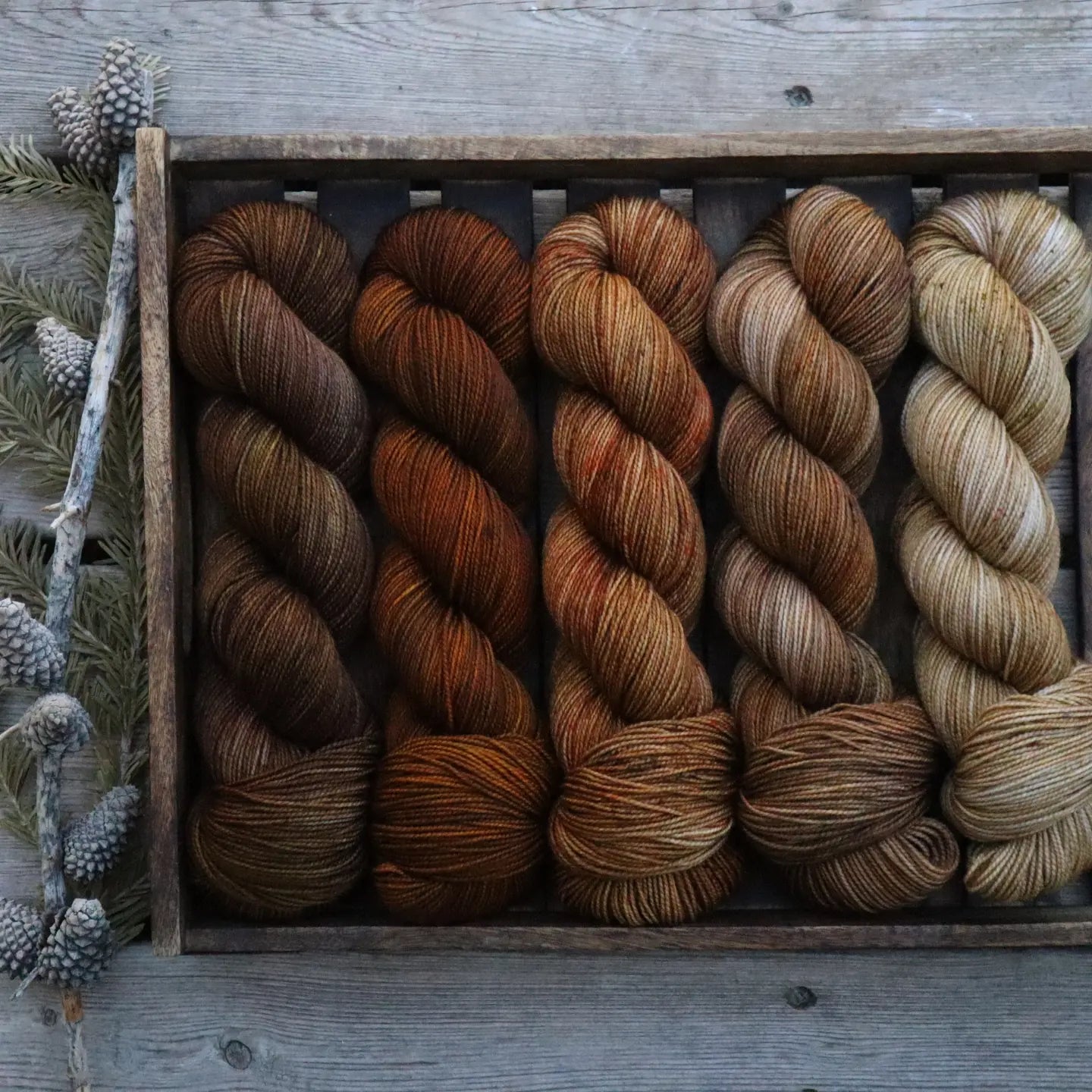 Acorn (Bighorn Sock)