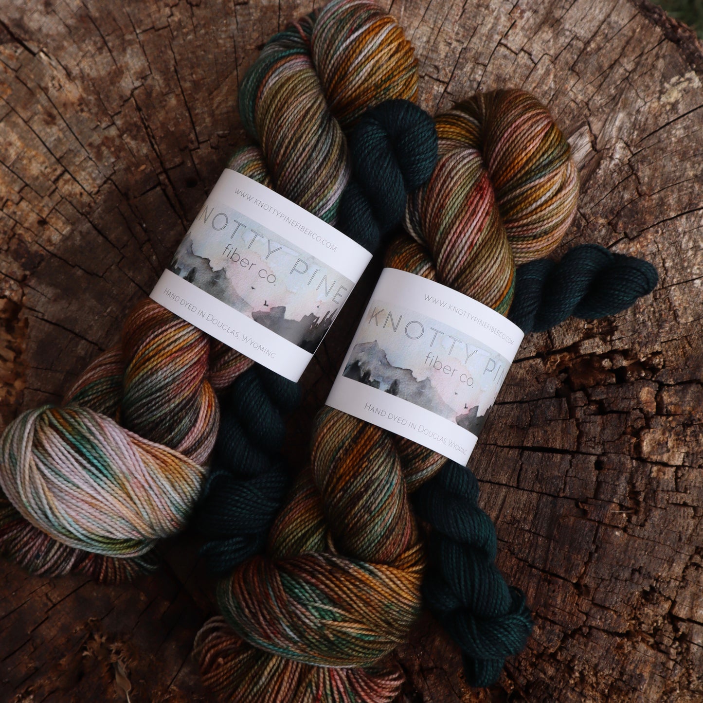 Winter is Coming Sock Set (Ready to Ship)