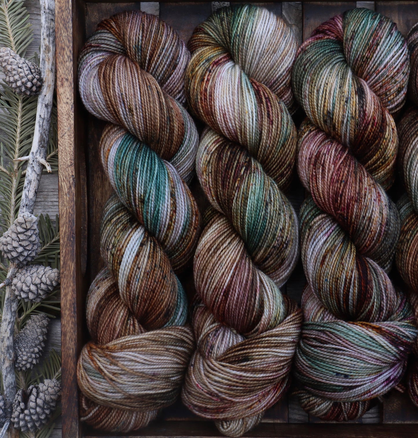 Mountain Mood (Bighorn)