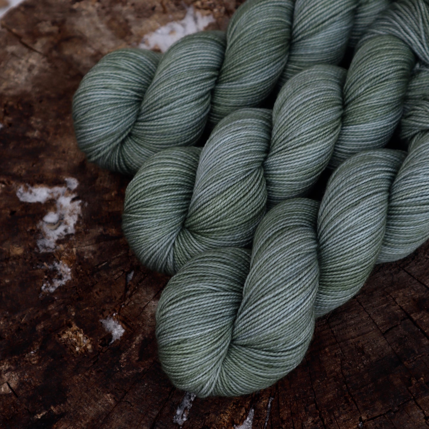 Eucalyptus (READY TO SHIP)