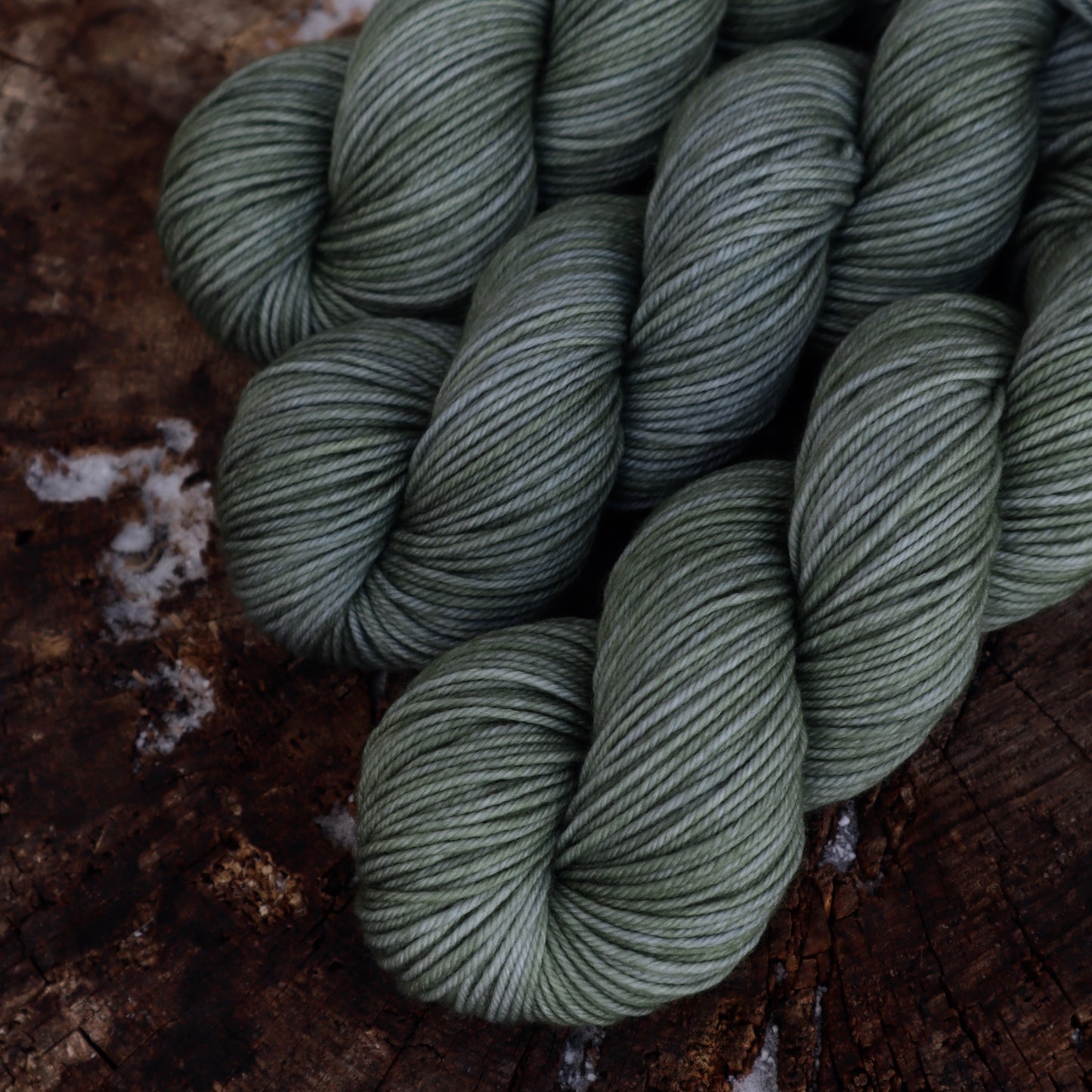 Eucalyptus (READY TO SHIP)