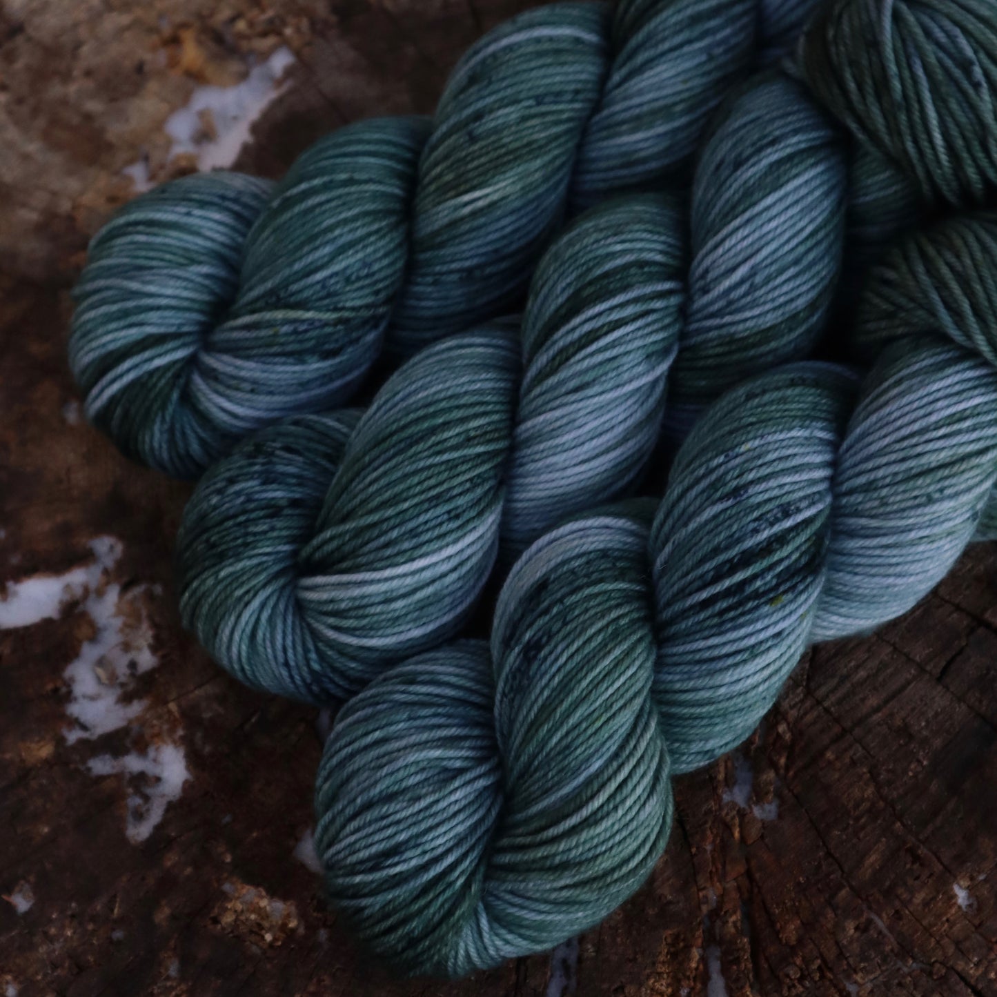 Ocean Front Property (Bighorn)