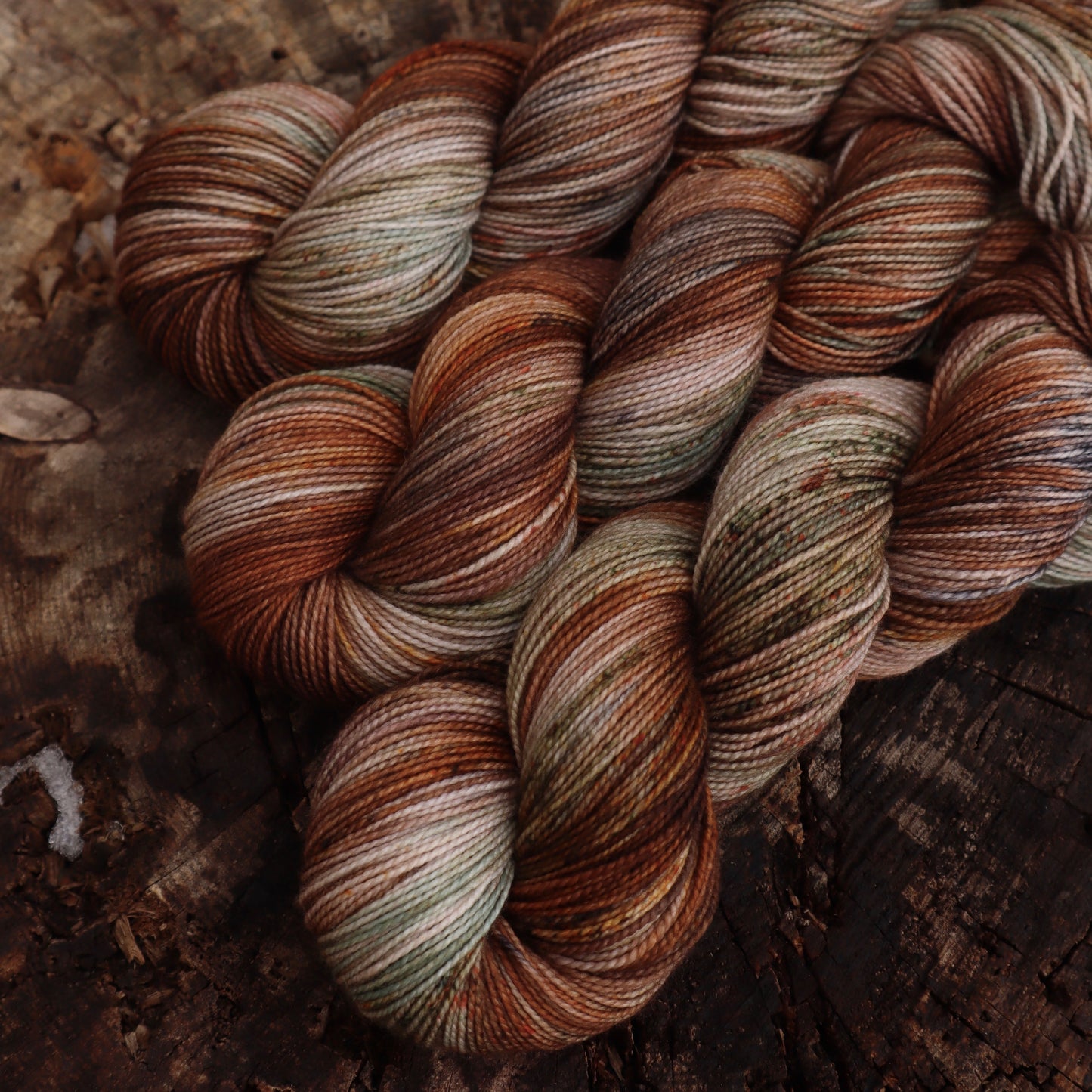 Heirloom Pumpkins (Bighorn)