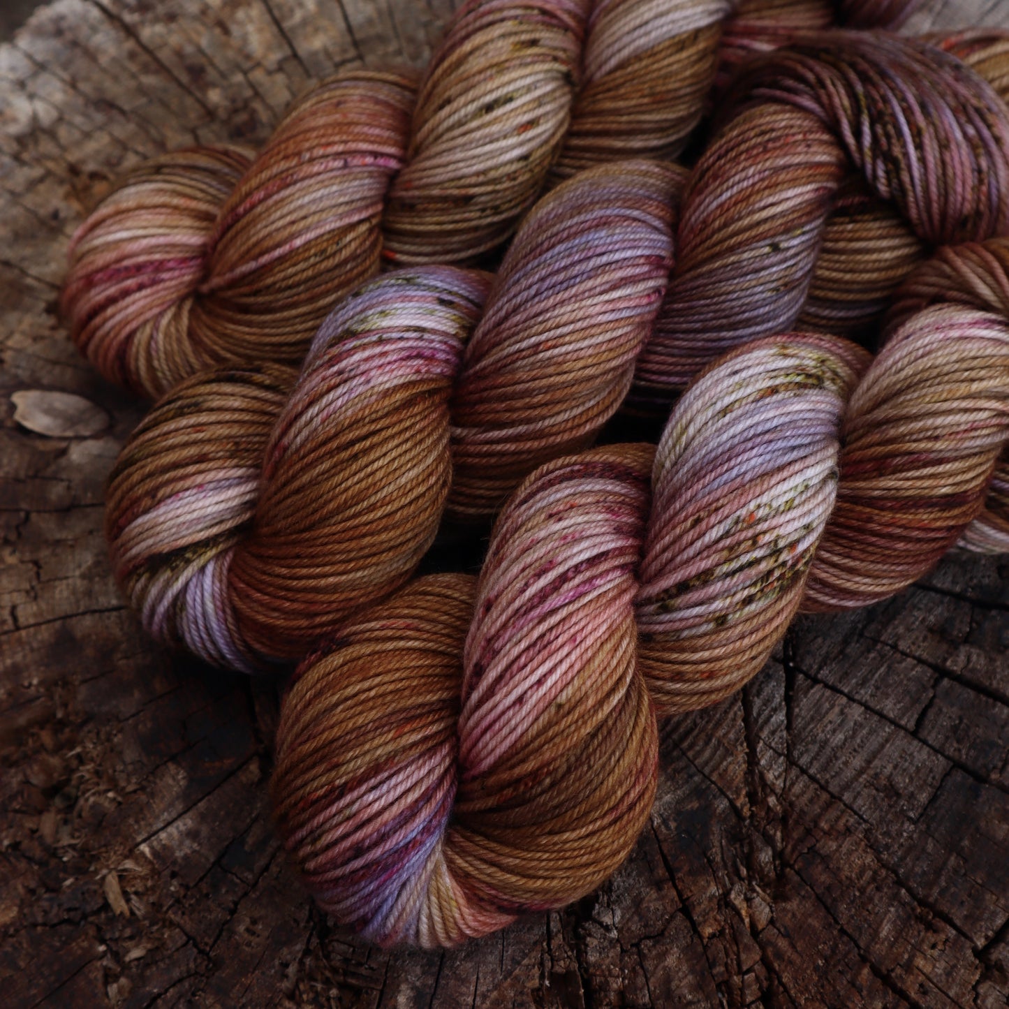 Prairie Sunset (Bighorn)