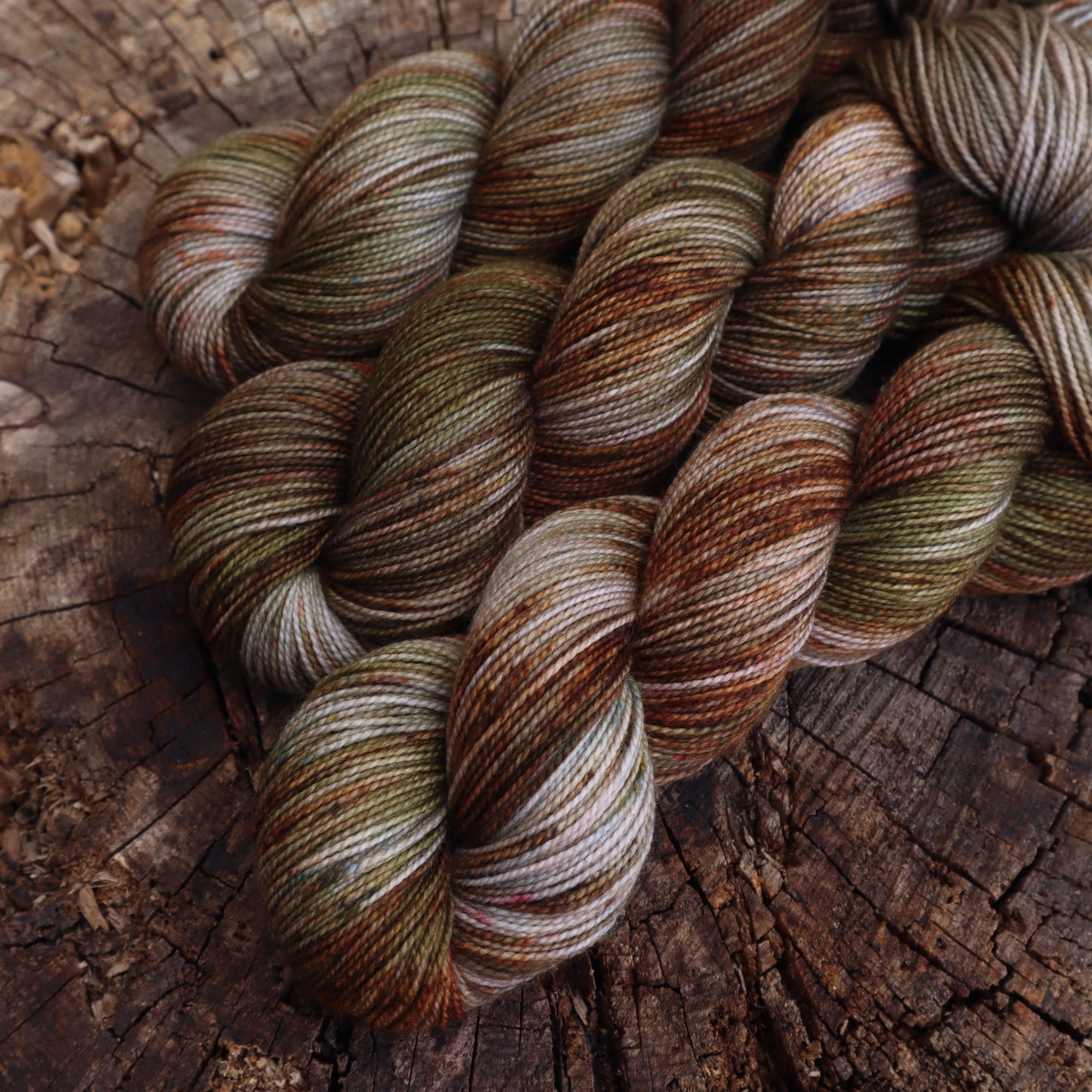 Wild Pine (Bighorn)