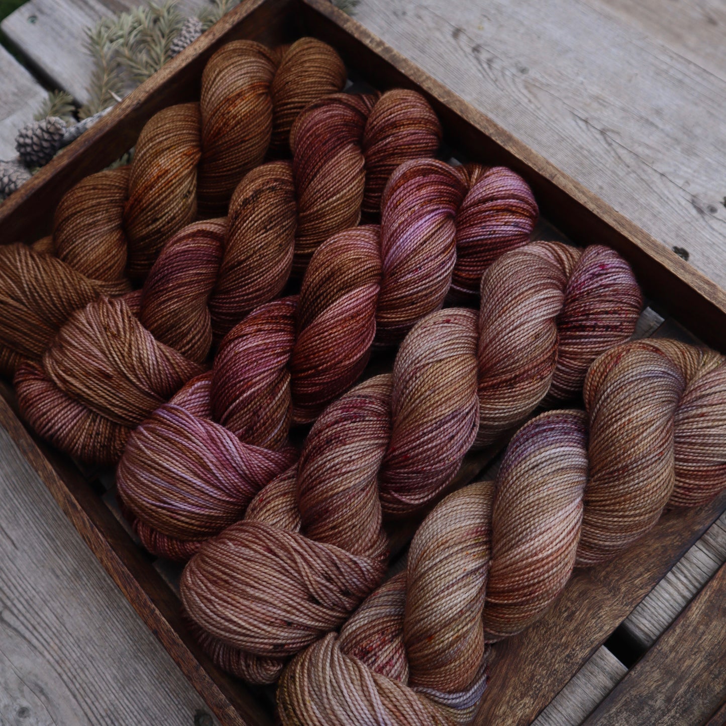 Prairie Sunset (Bighorn Sock)