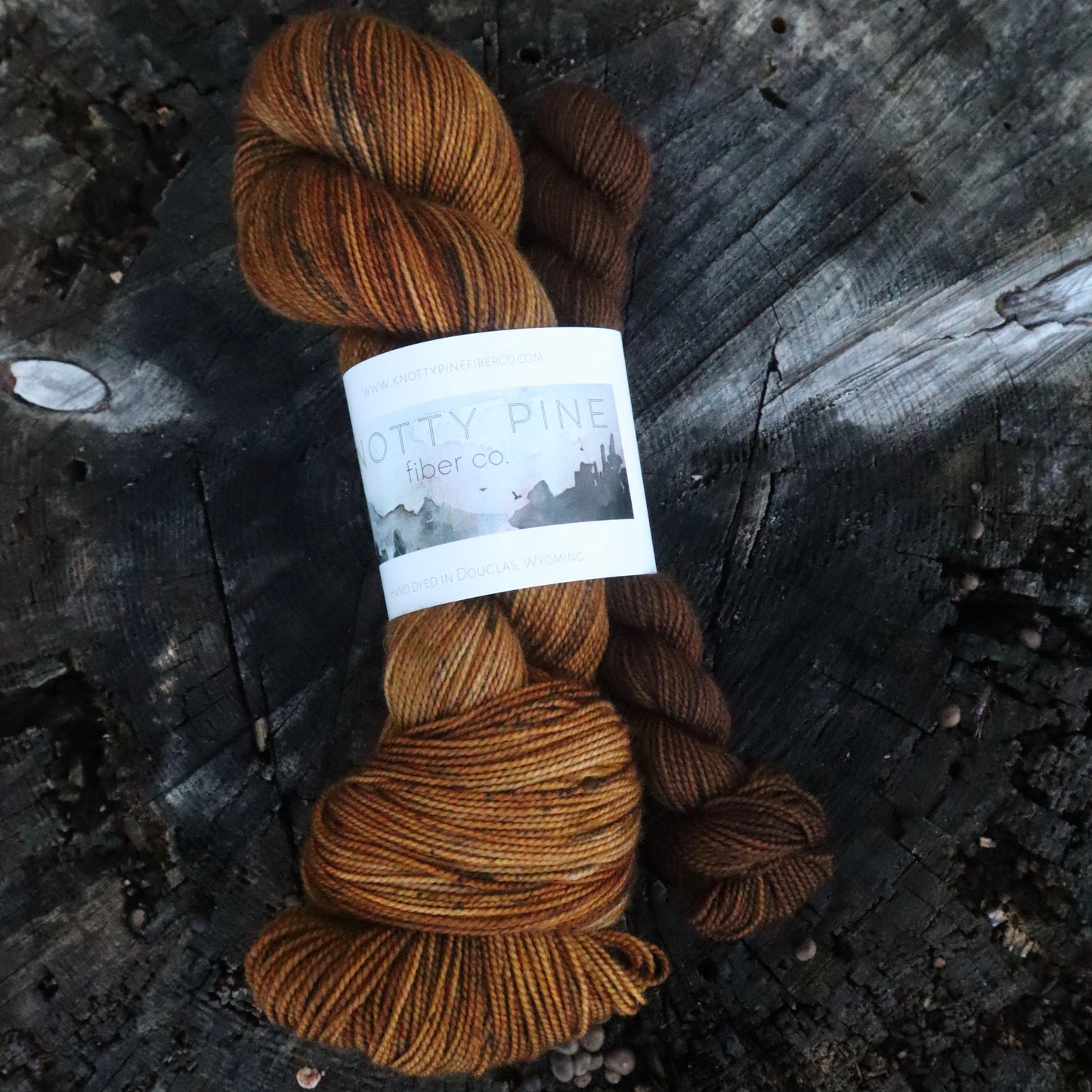 Fall is Brewing Sock Set (Ready to Ship)