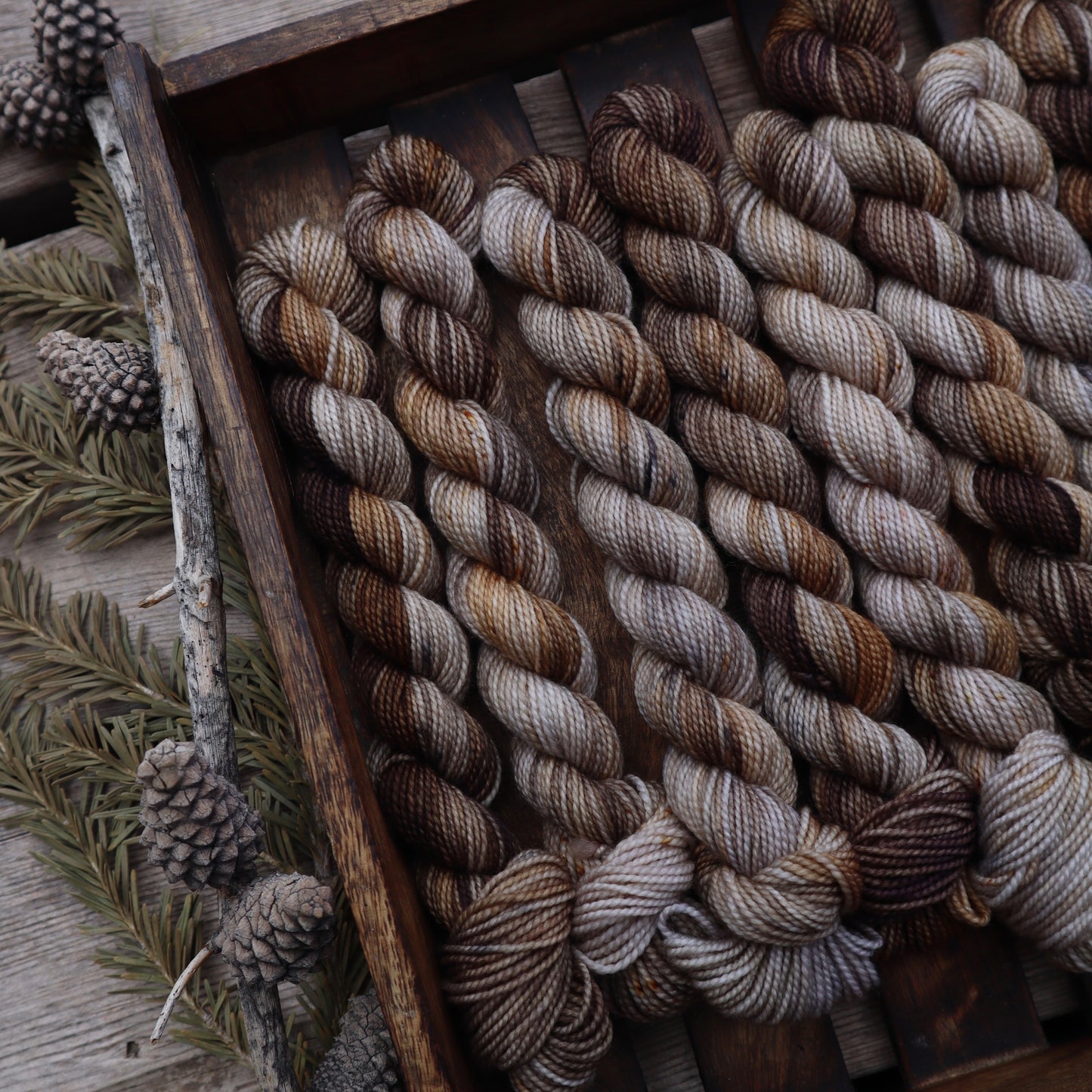 Wild Advent Full Skein Pre-order Day 6-10 (February Pre-Order)