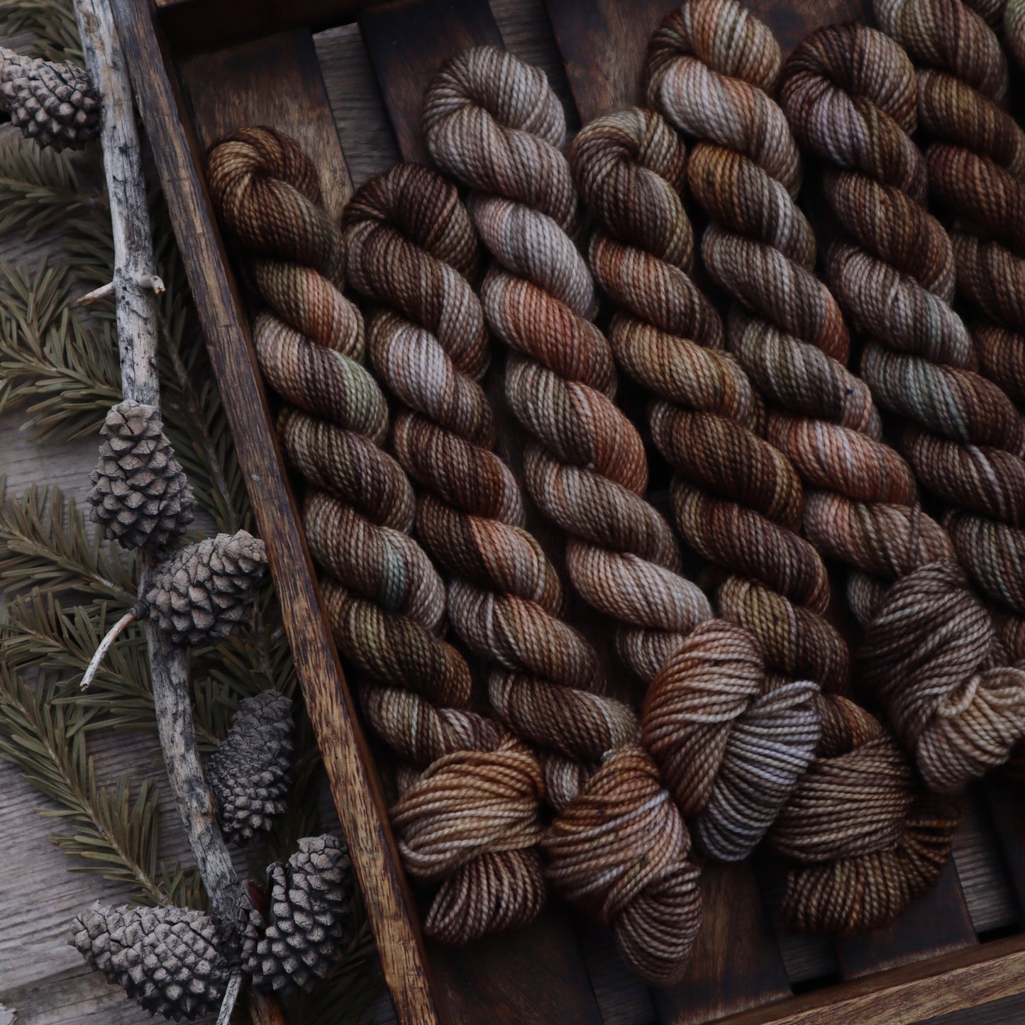 Wild Advent Full Skein Pre-order Day 6-10 (February Pre-Order)