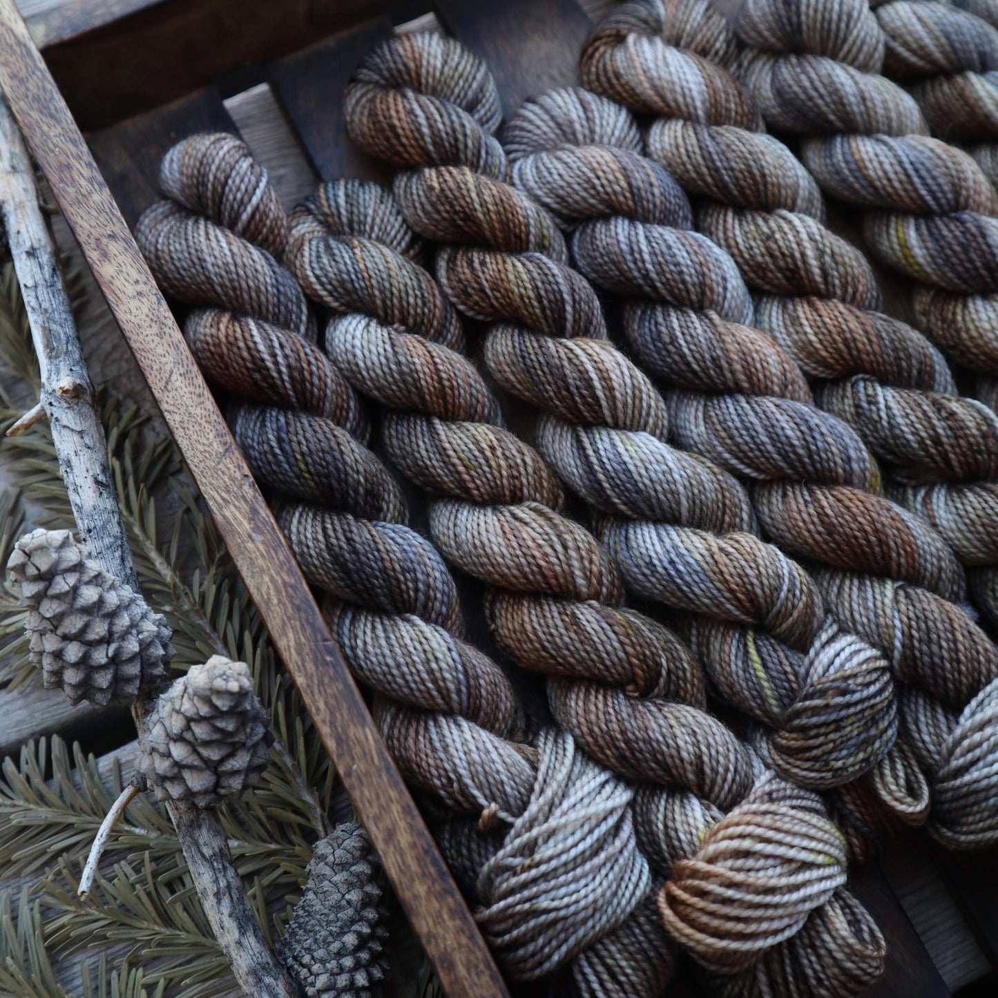 Wild Advent Full Skein Pre-order Day 6-10 (February Pre-Order)