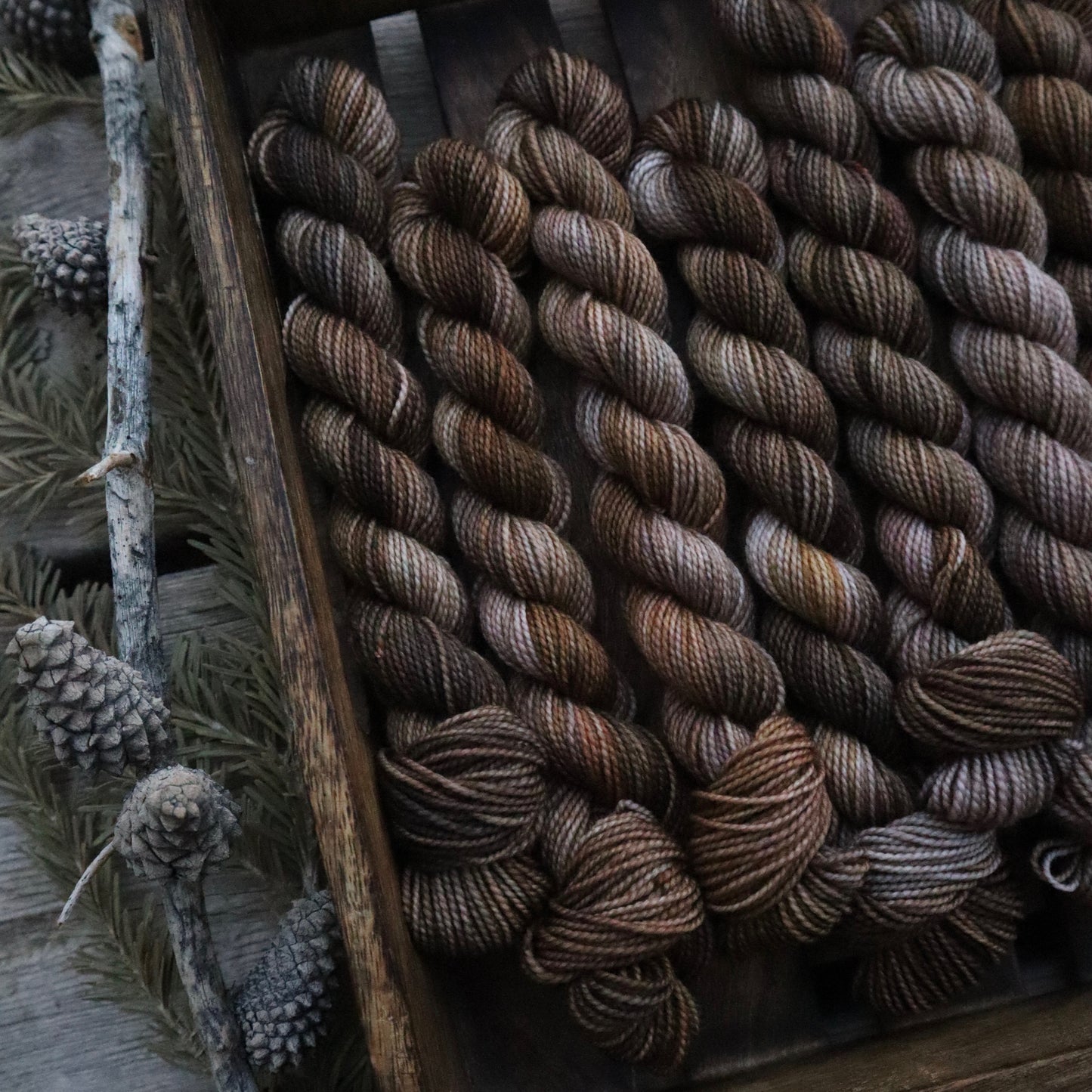 Wild Advent Full Skein Pre-order Day 6-10 (February Pre-Order)