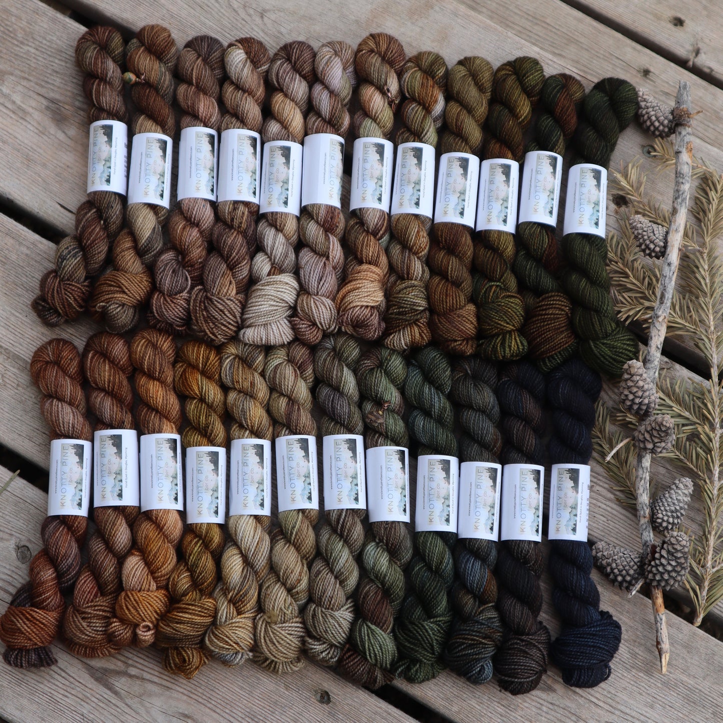 Wild Advent Full Skein Pre-order Day 6-10 (February Pre-Order)