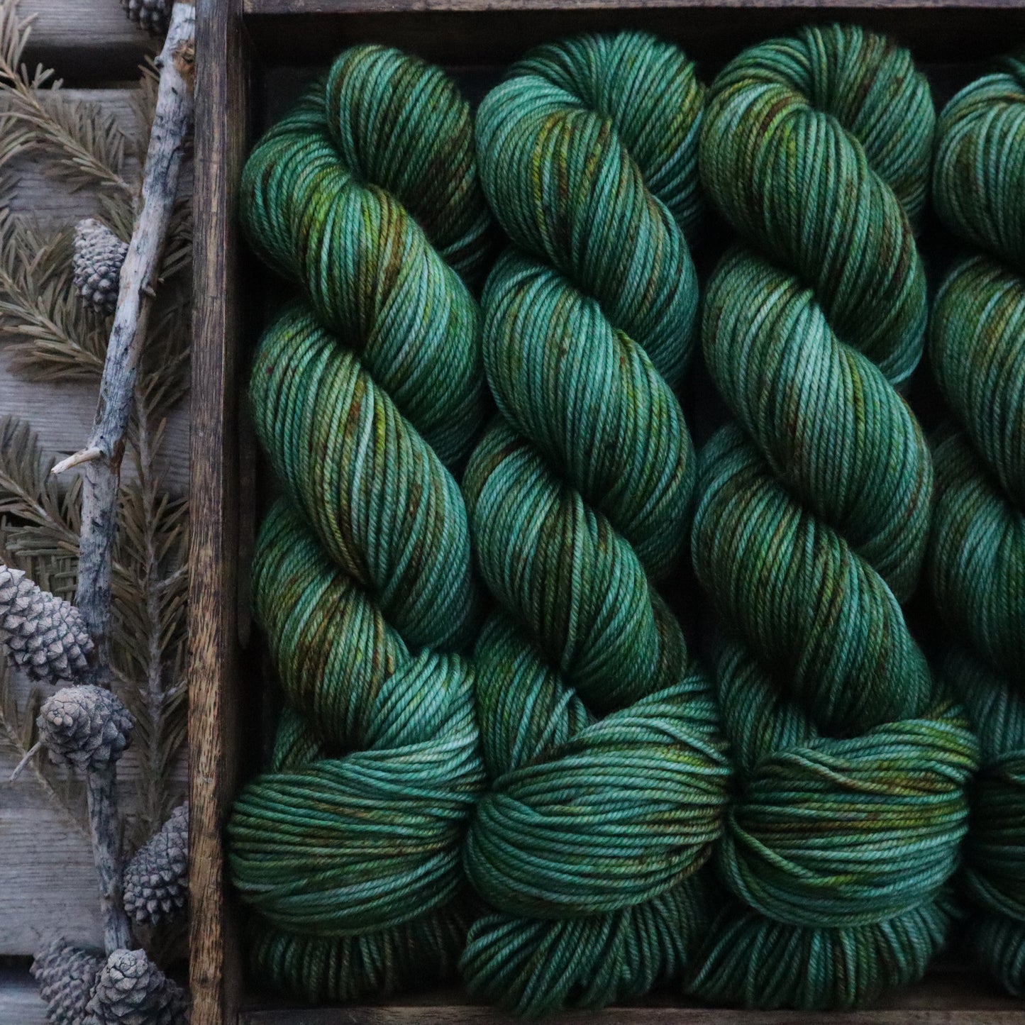 Spring Fever (Bighorn DK)