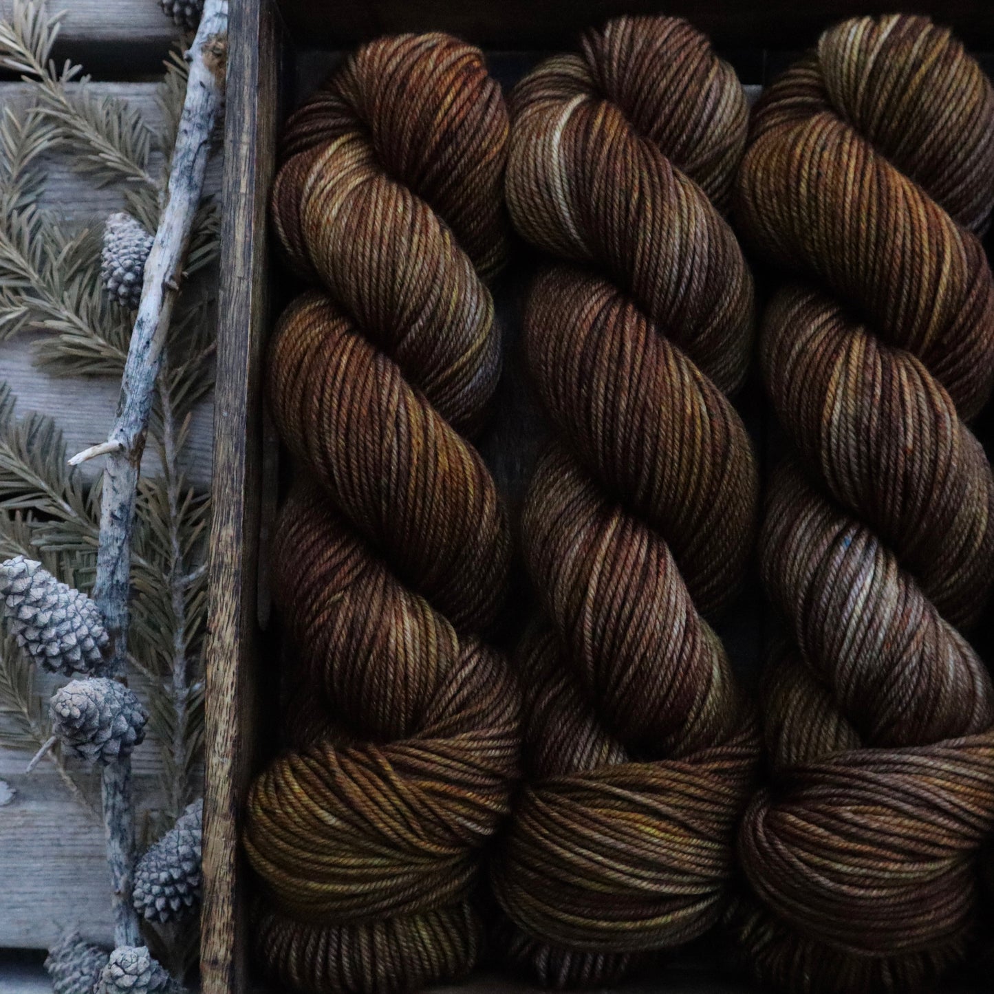 Acorn (Bighorn DK)