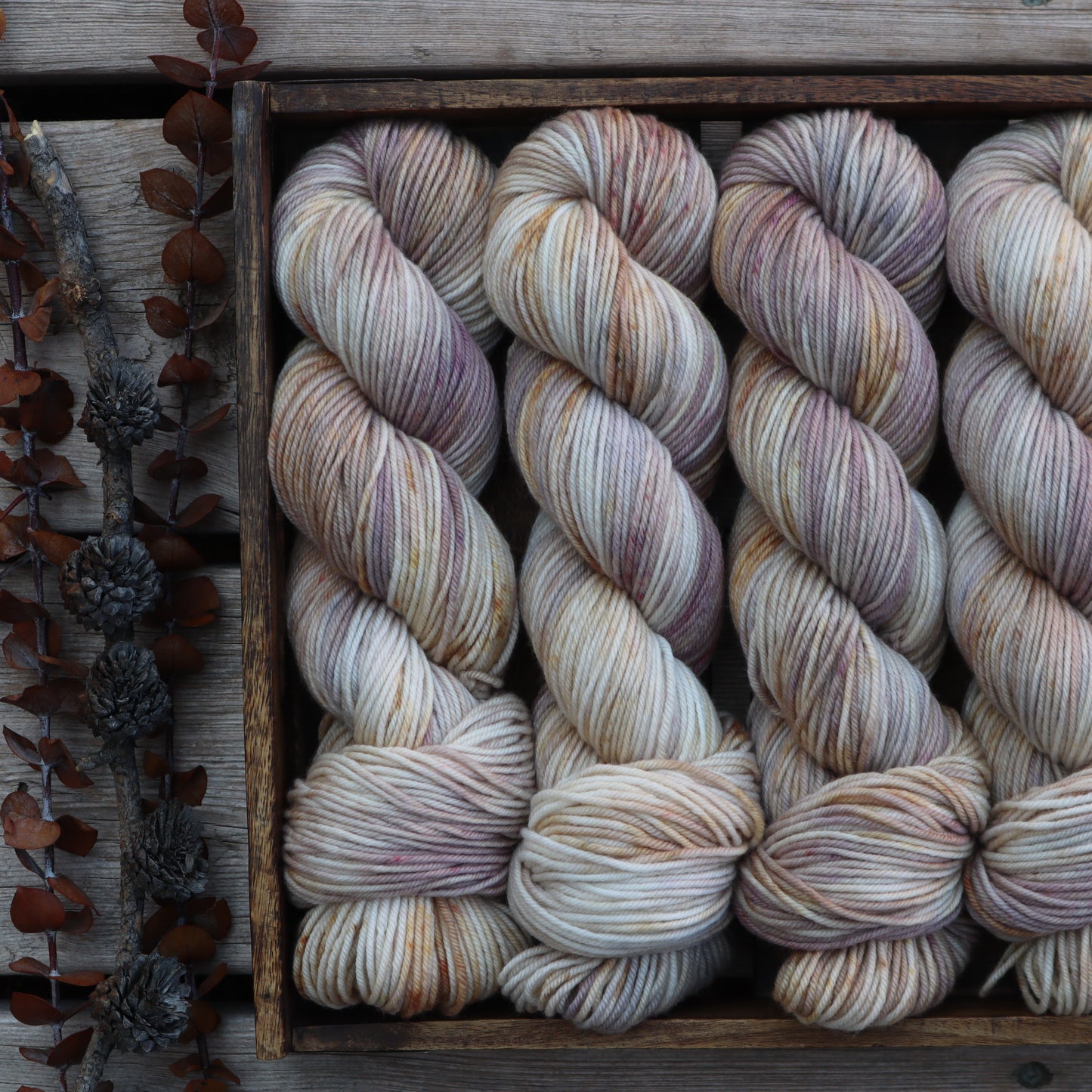 Phantom of the North (Boxelder Organic DK)