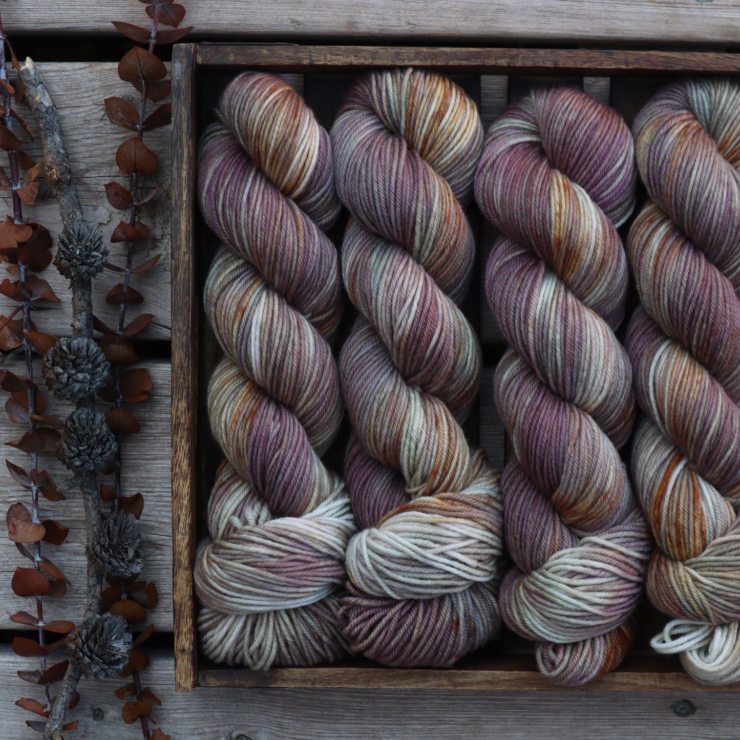 Elusive Hunter (Boxelder Organic)