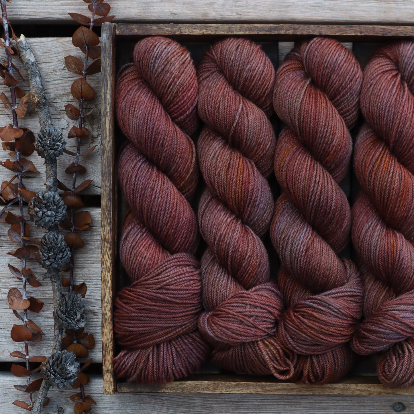 Nightfall (Boxelder Organic)