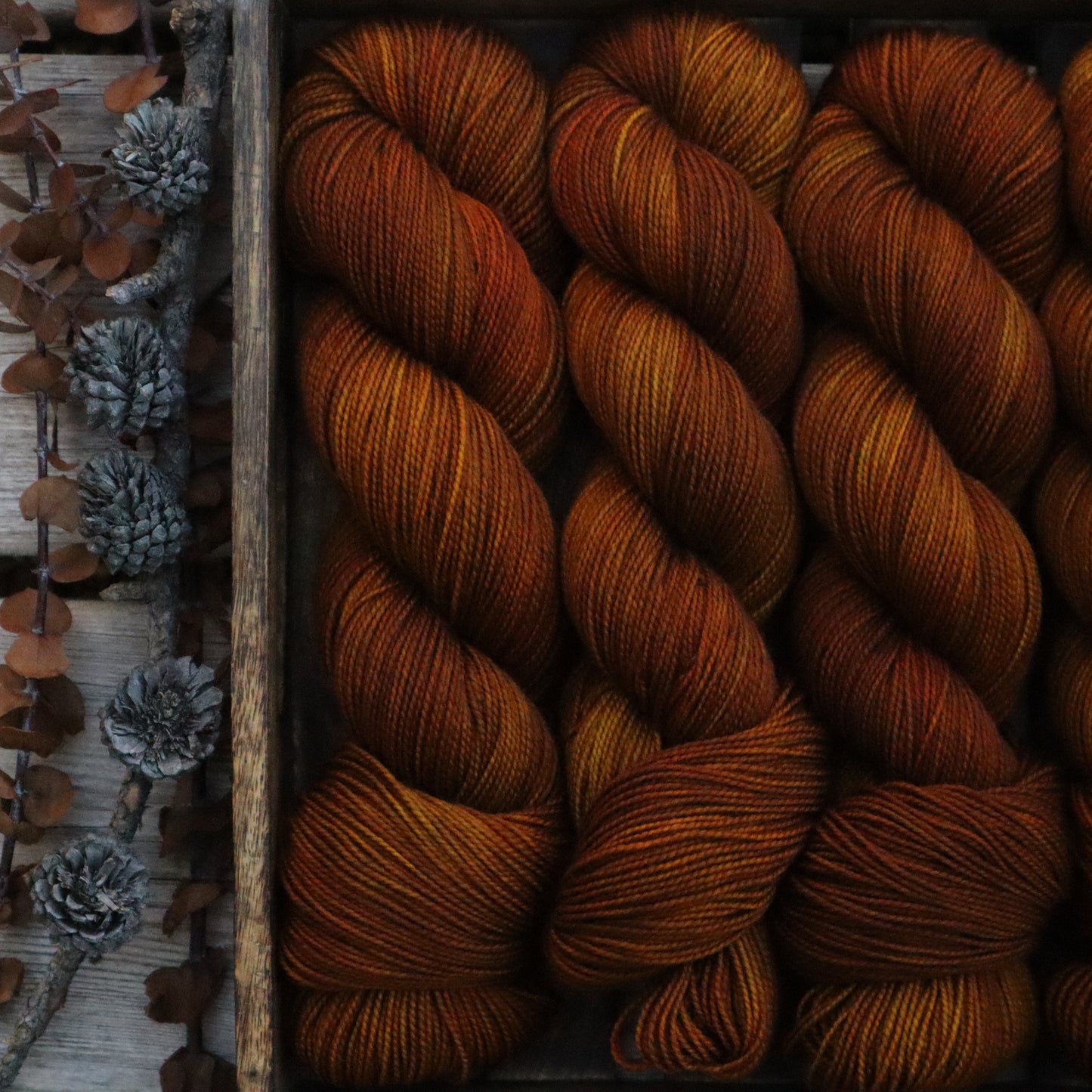 Autumn Glow (Bighorn)