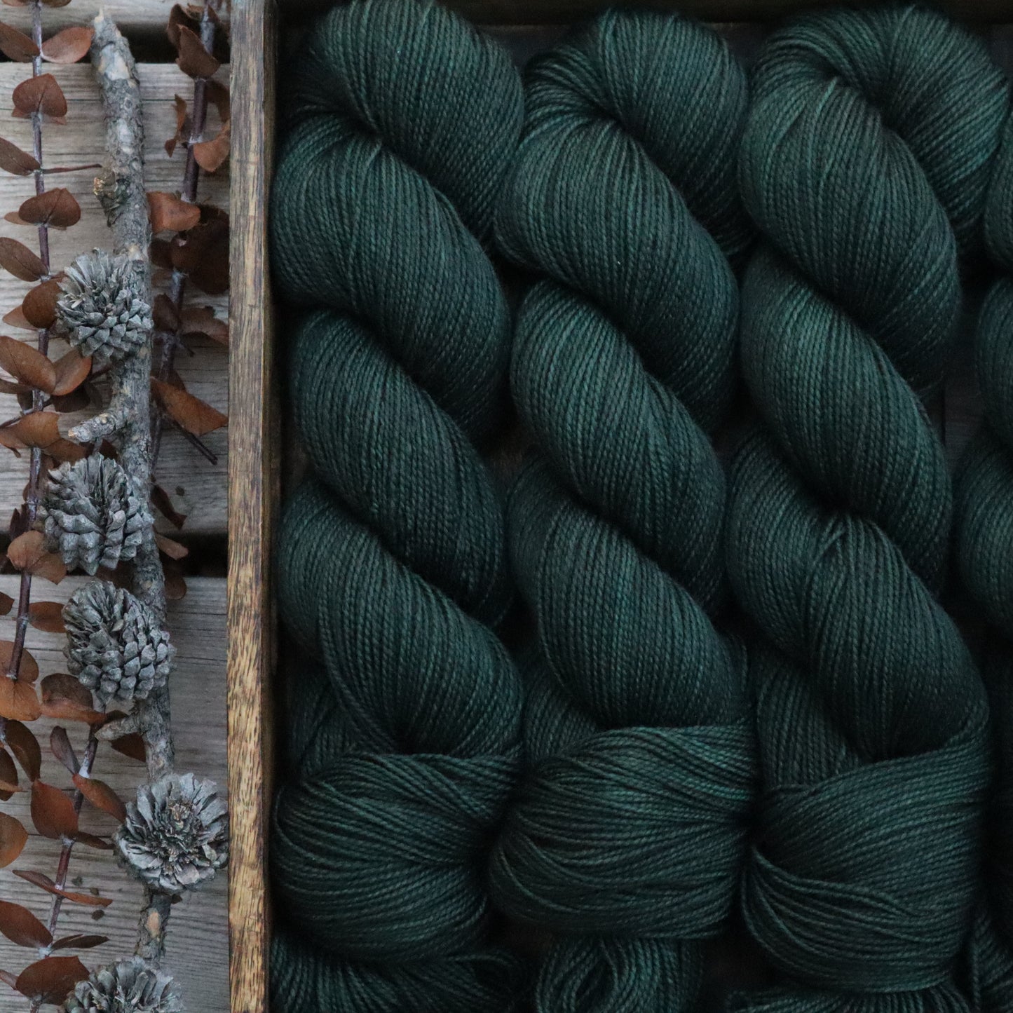 Rocky Mountain High (Bighorn)