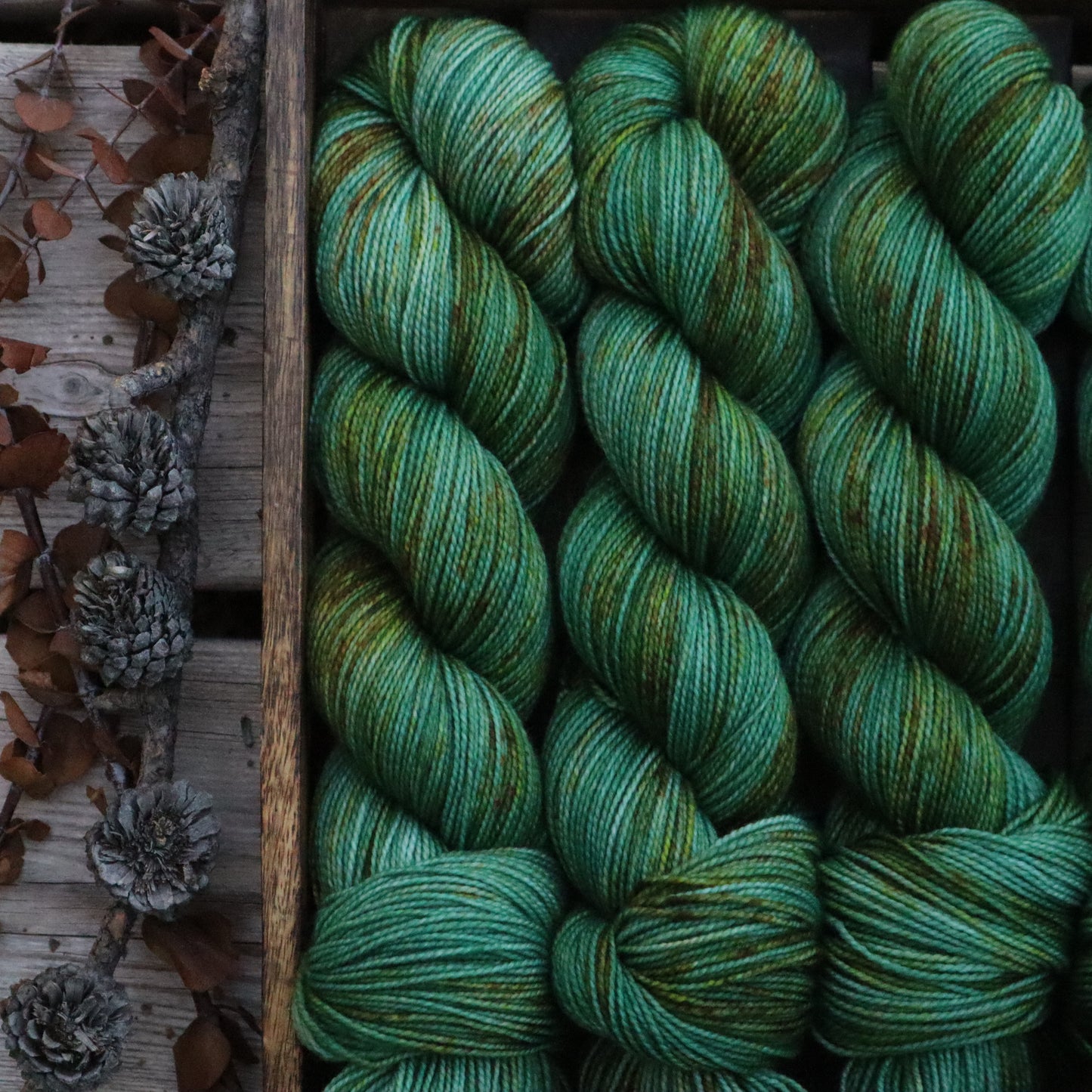 Spring Fever (Bighorn)