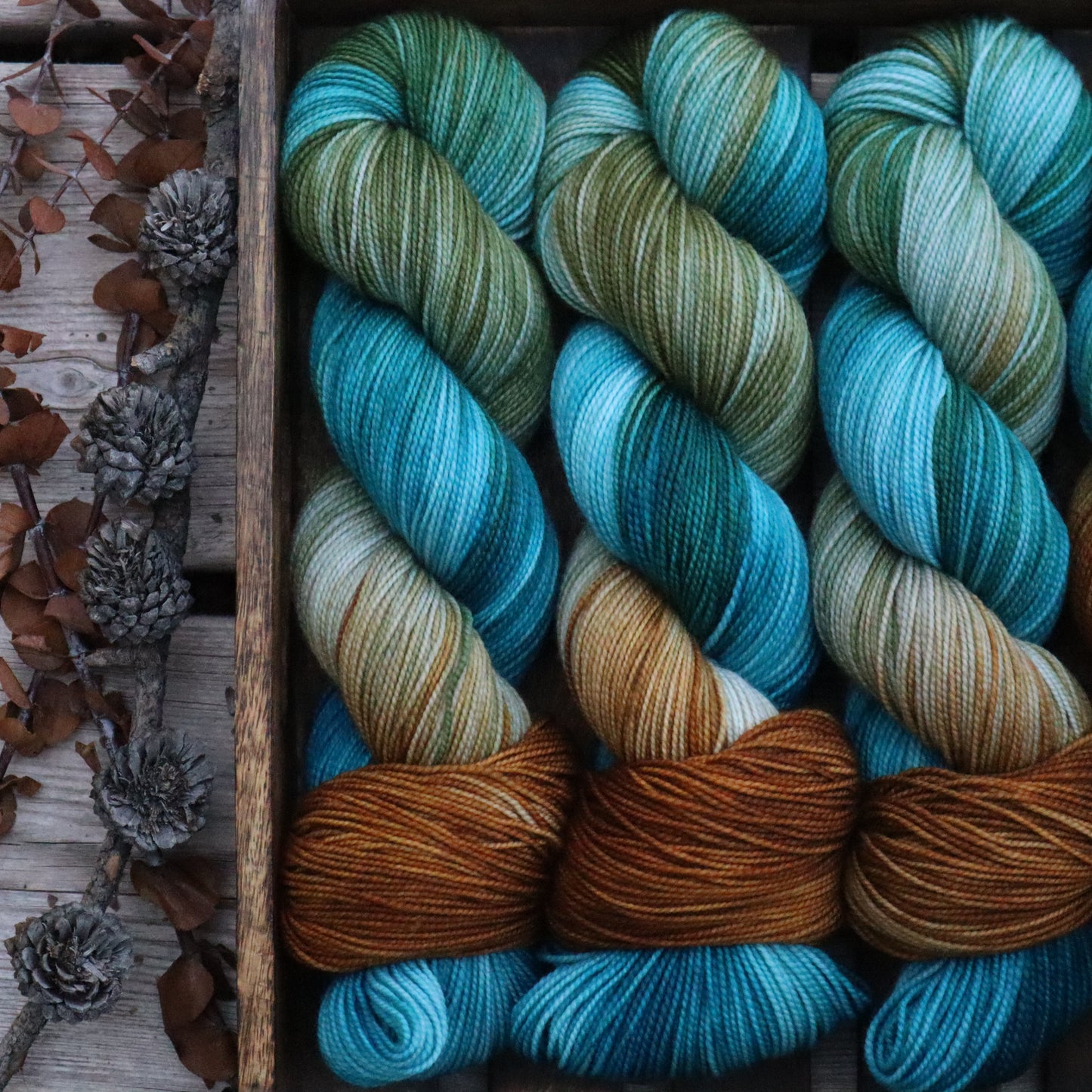 Ocean Eyes (Bighorn)