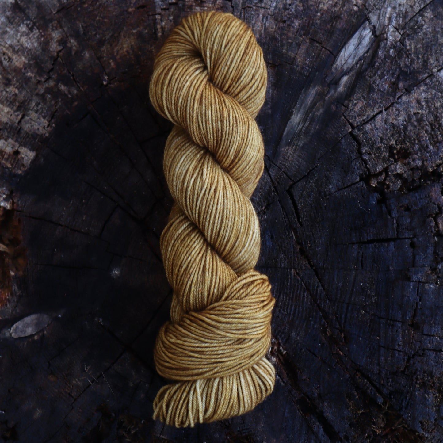 Gold Dust (Bighorn DK) READY TO SHIP