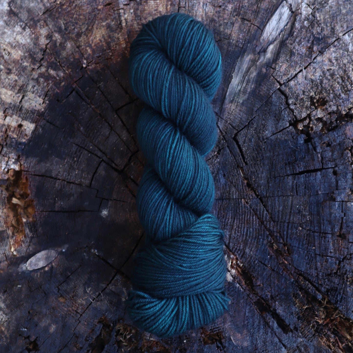 Winter (Bighorn DK) READY TO SHIP