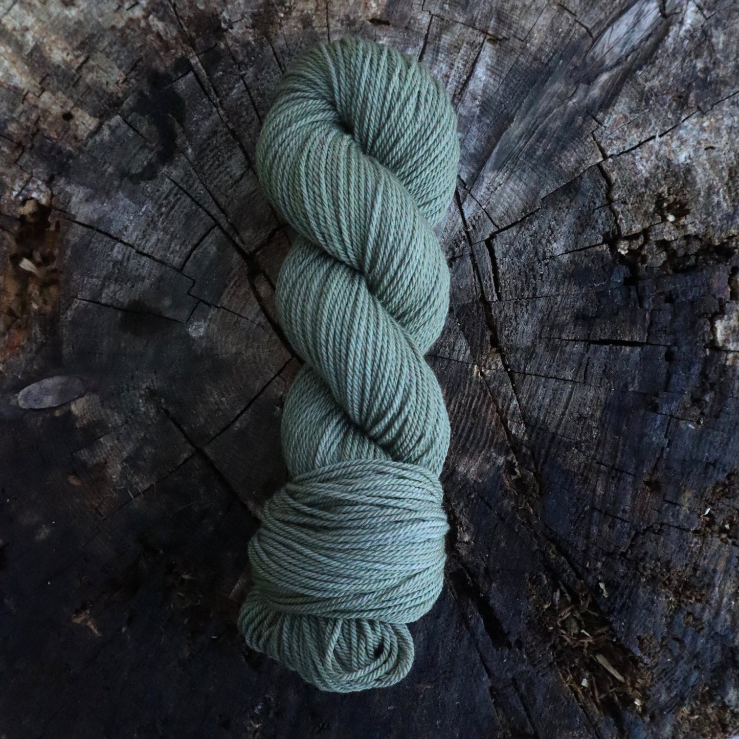 Sagebrush (Wyoming Wool)
