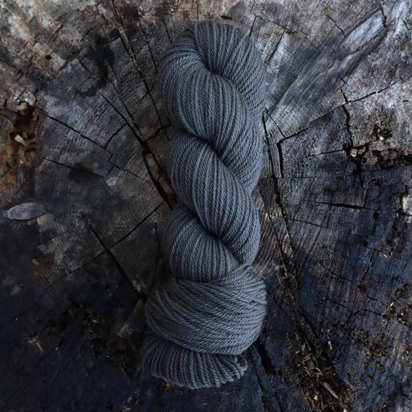 Black Hawk (Wyoming Wool)