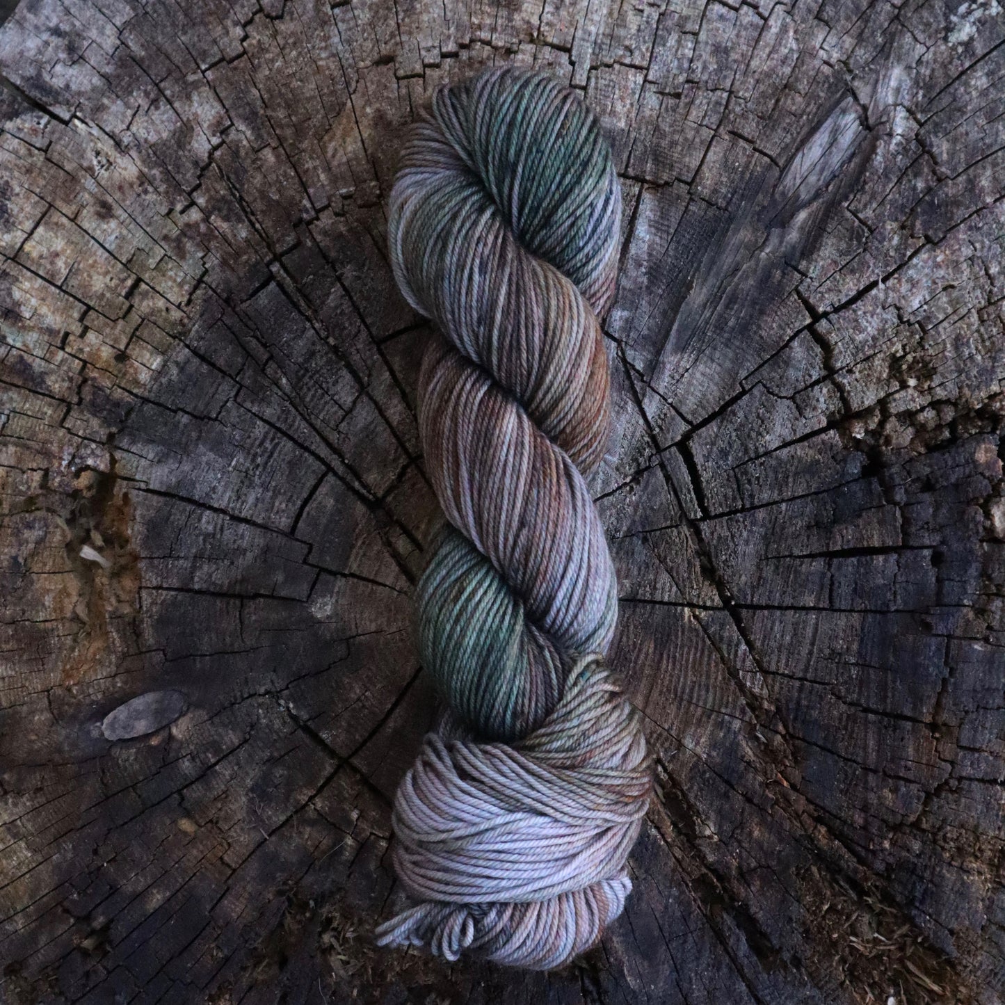 Fritter (Bighorn DK) Ready to Ship
