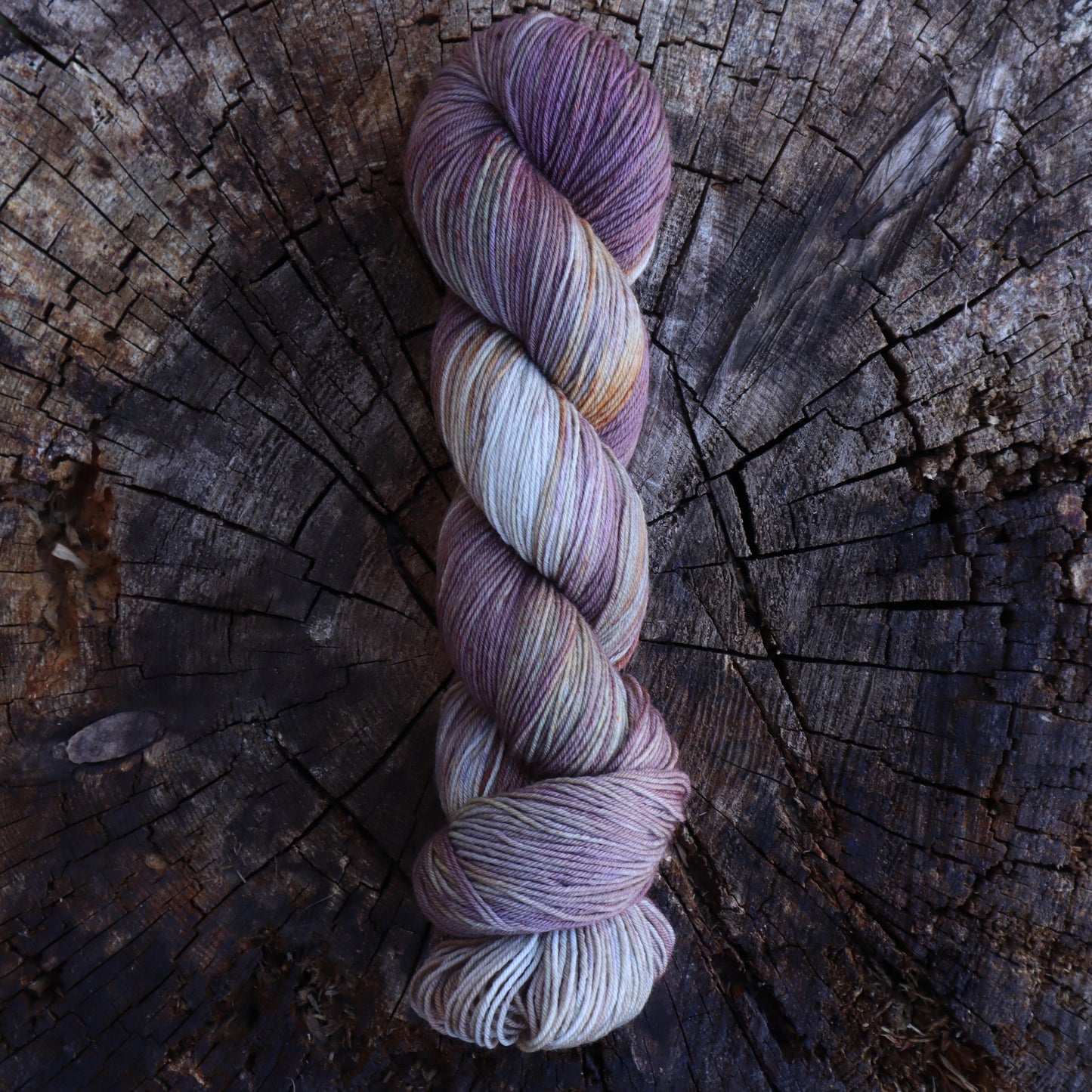 Elusive Hunter (Boxelder Organic)