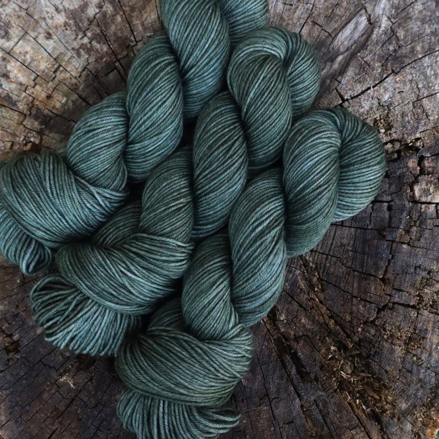 Storm (Bighorn DK) Ready to Ship