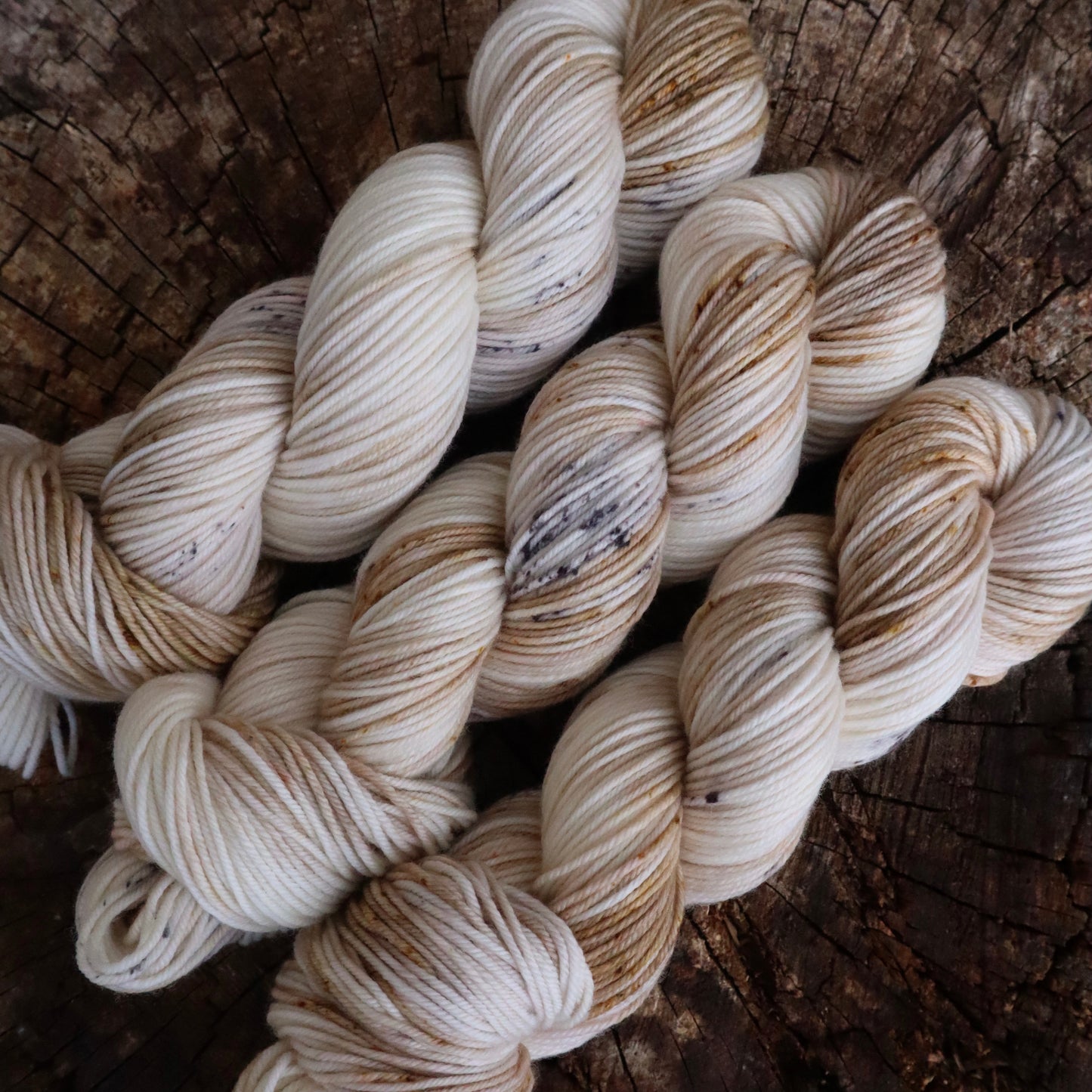 Phantom of the North (Bighorn DK) Ready to Ship
