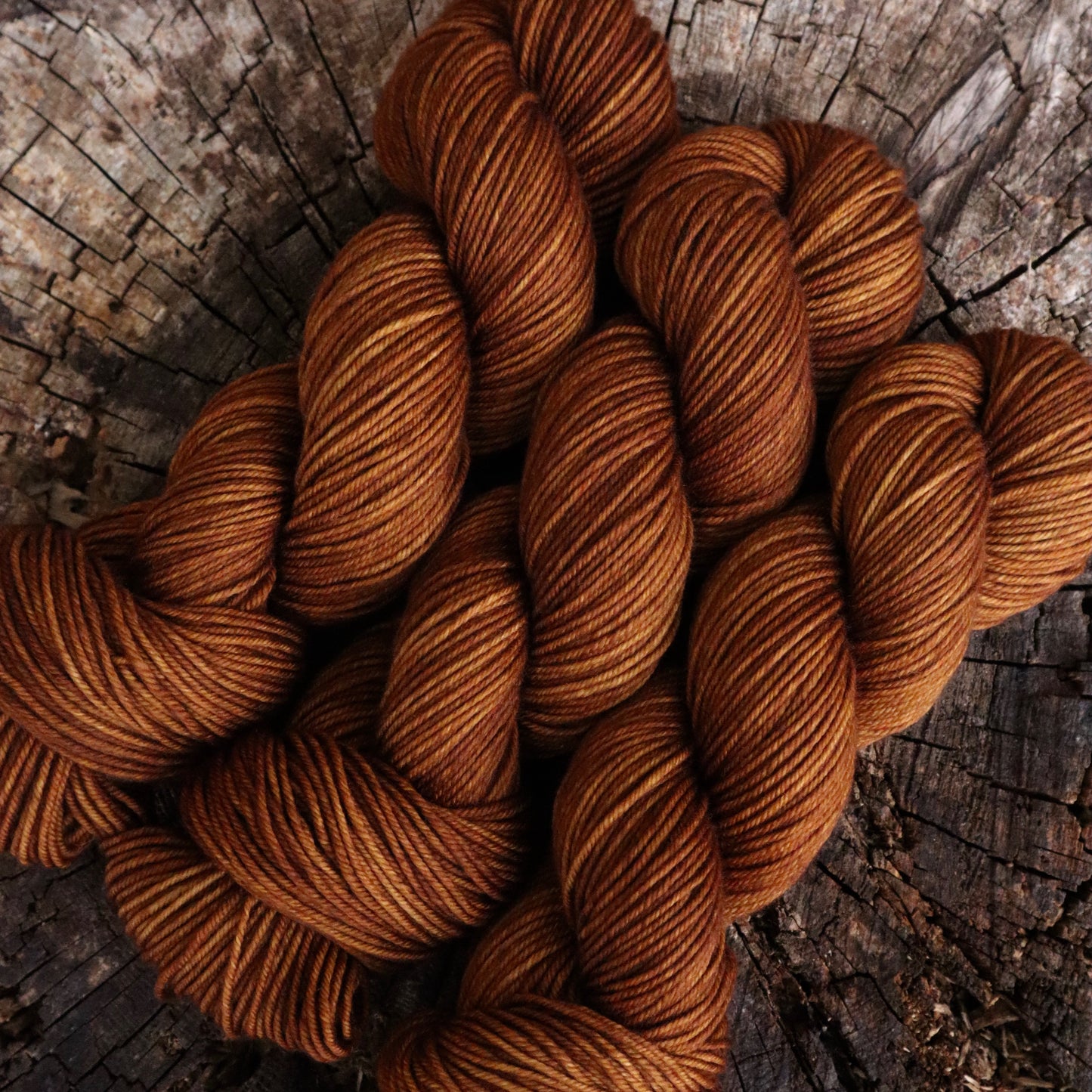 Harvest Moon (Bighorn DK) Ready to Ship
