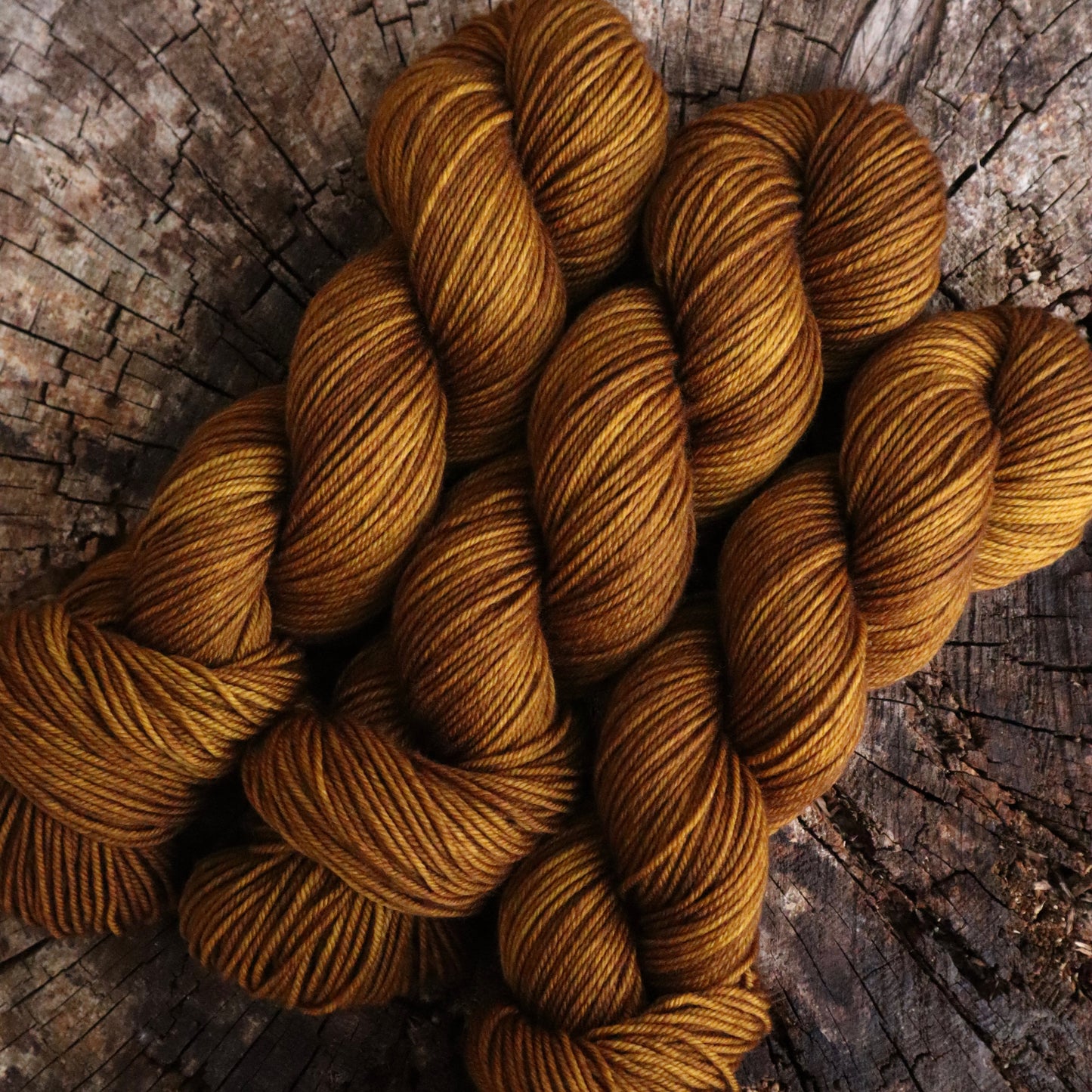 Harvest (Bighorn DK) Ready to Ship