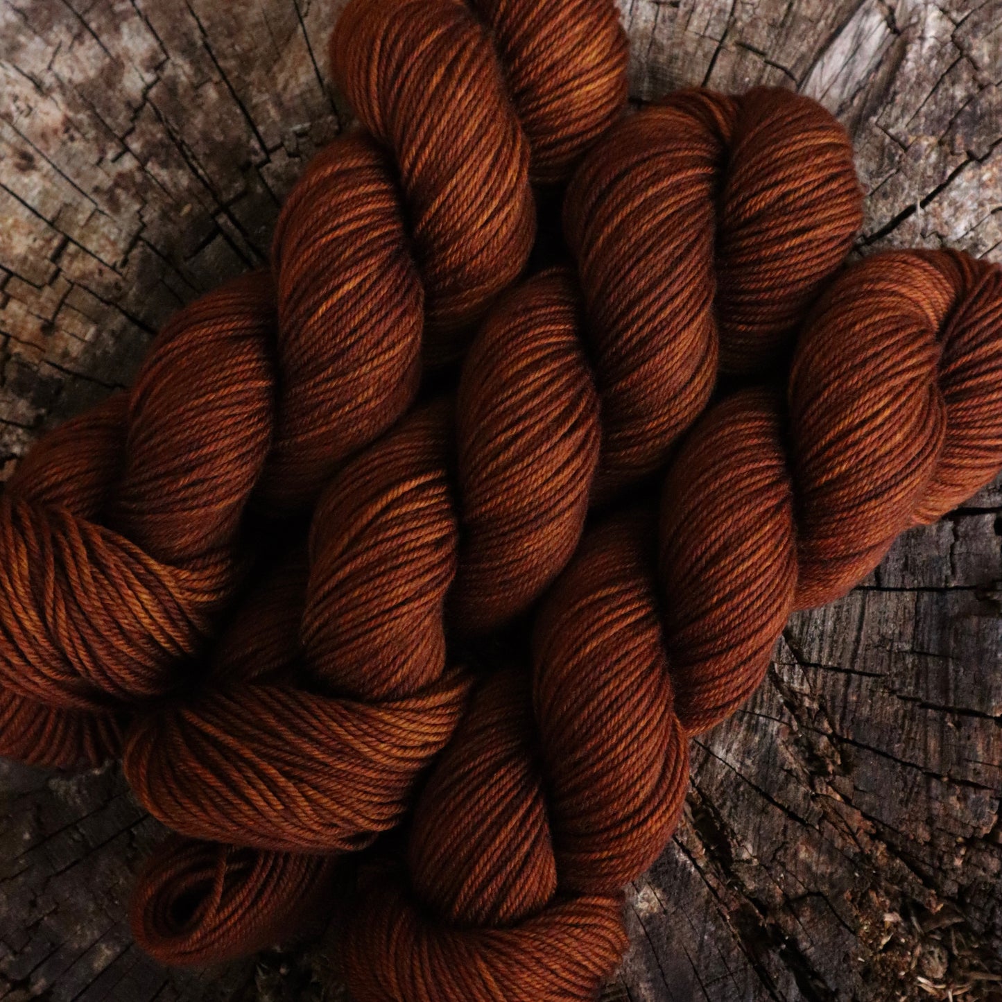 Spicy Pumpkin (Bighorn)