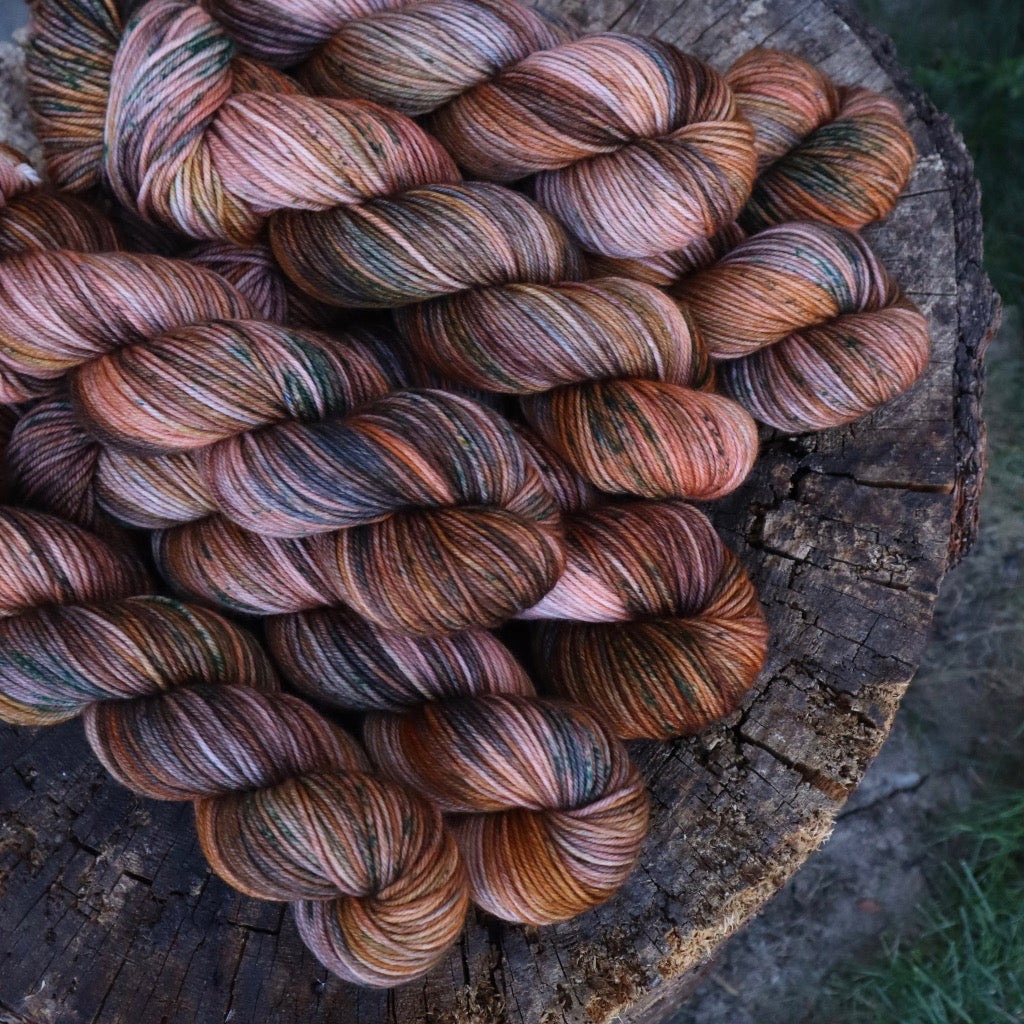 Pretty Little Pumpkins (Bighorn)