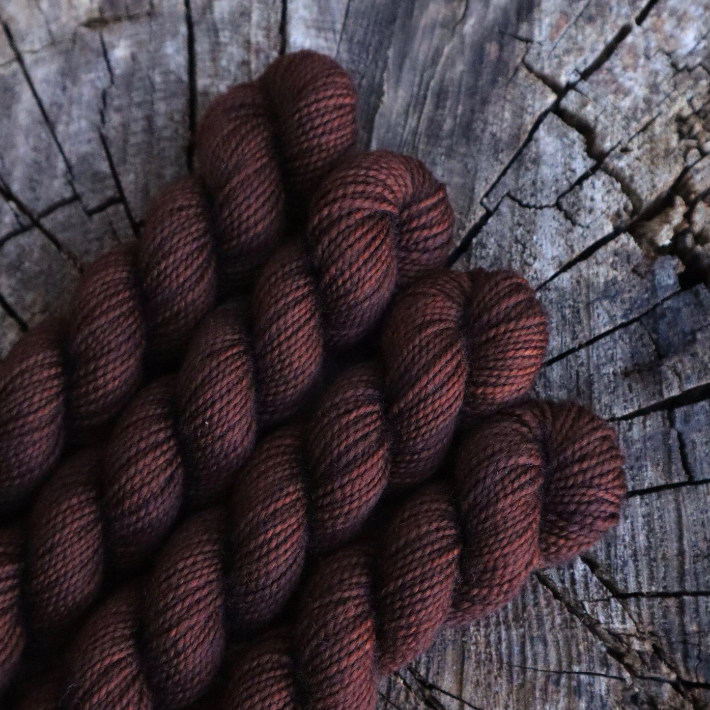 Chocolate Explosion (Bighorn Sock Mini) Ready to Ship
