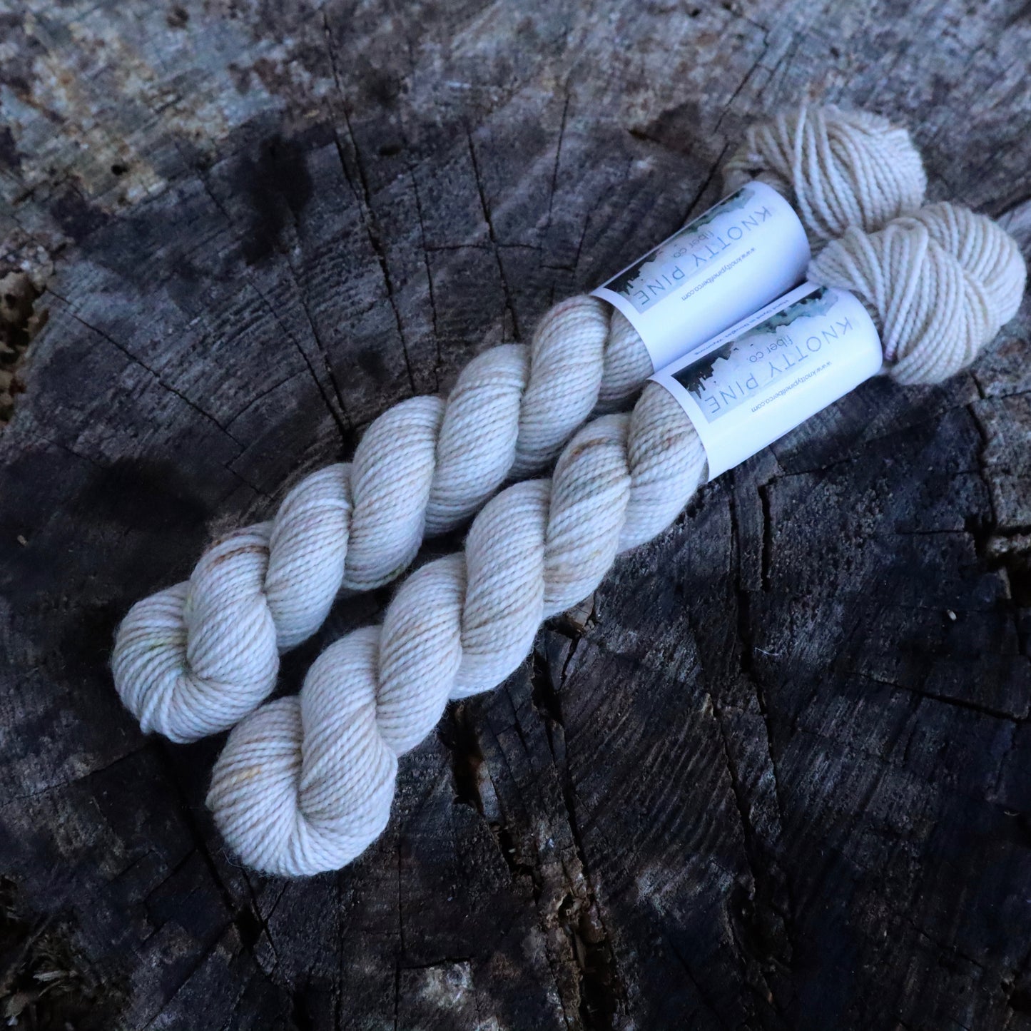 Shop My Stash (Bighorn Sock Minis)