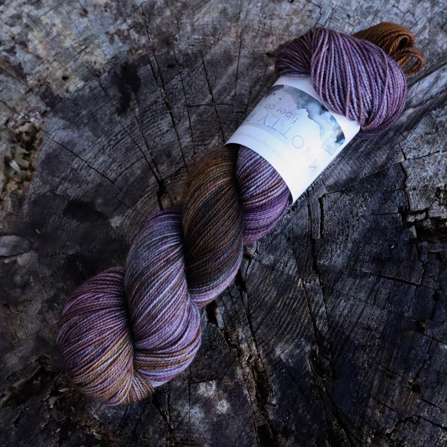 Shop My Stash (Bighorn Sock)