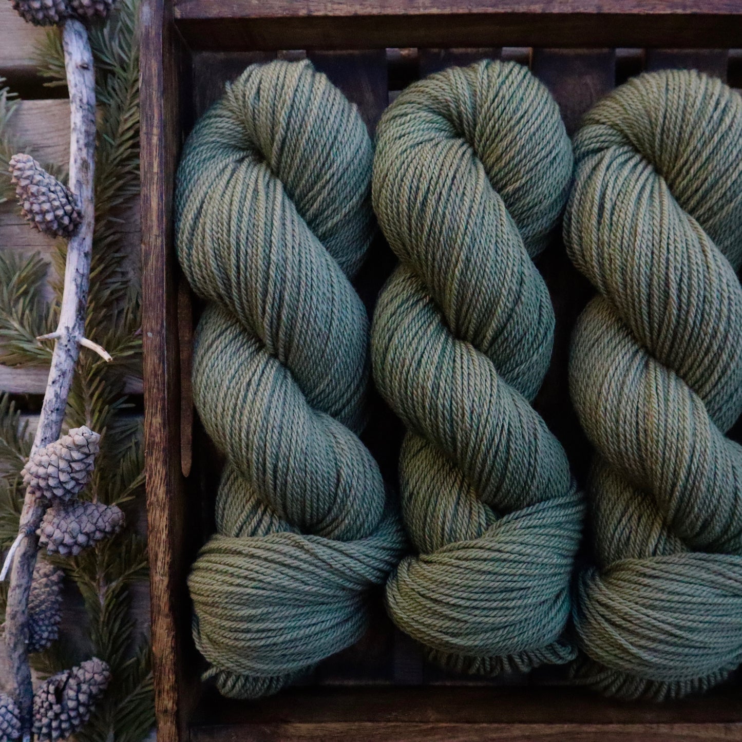 Sagebrush (Teton Range DK)