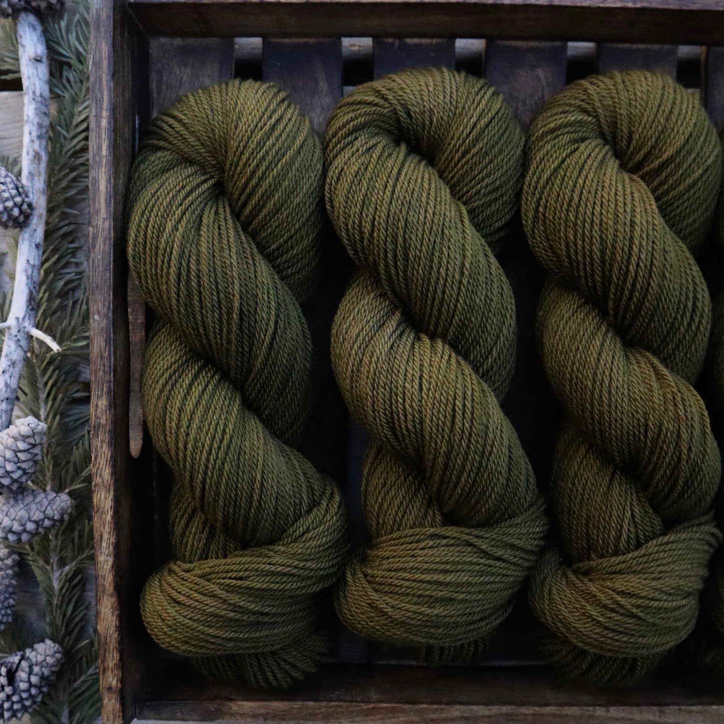 Olive Pine (Teton Range DK)