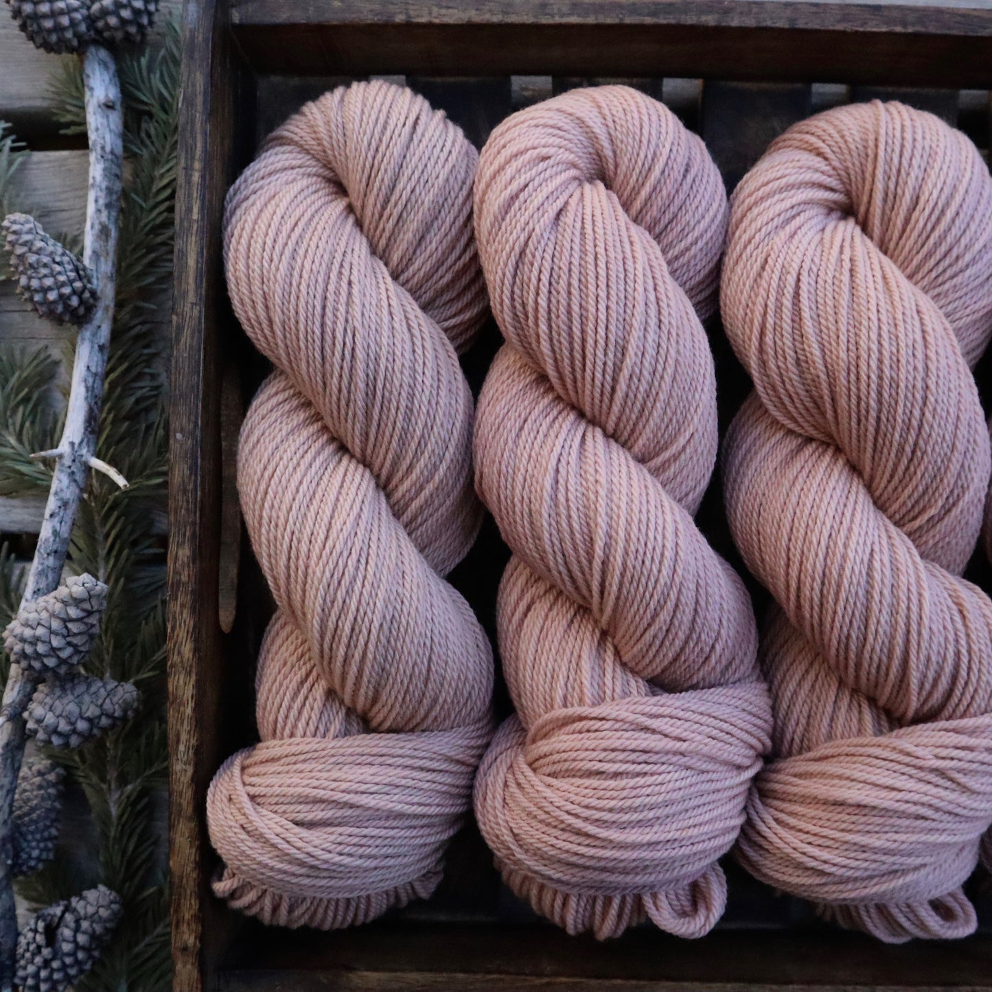 Coastal Pink (PRE-ORDER)