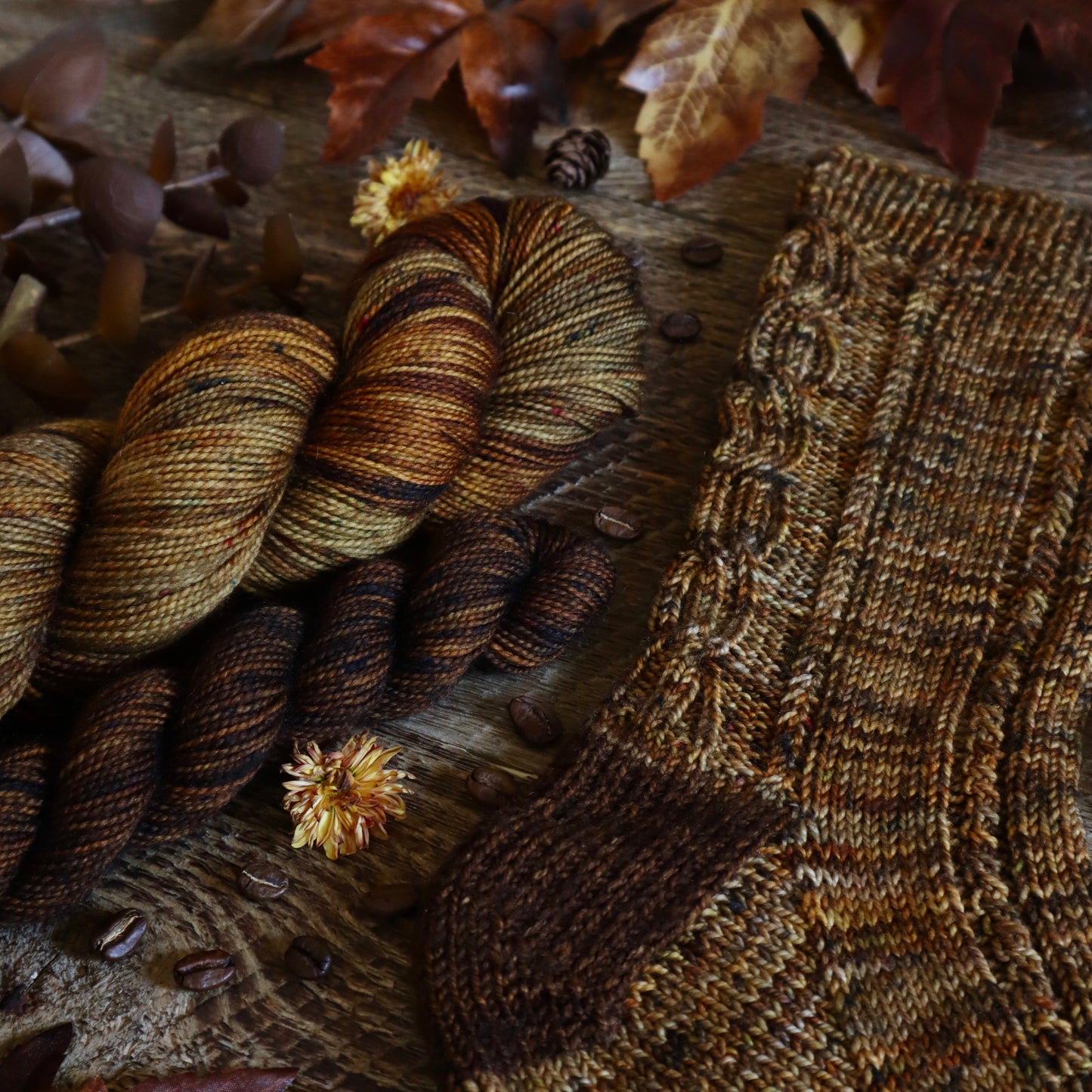 Fall is Brewing Sock Set (Ready to Ship)