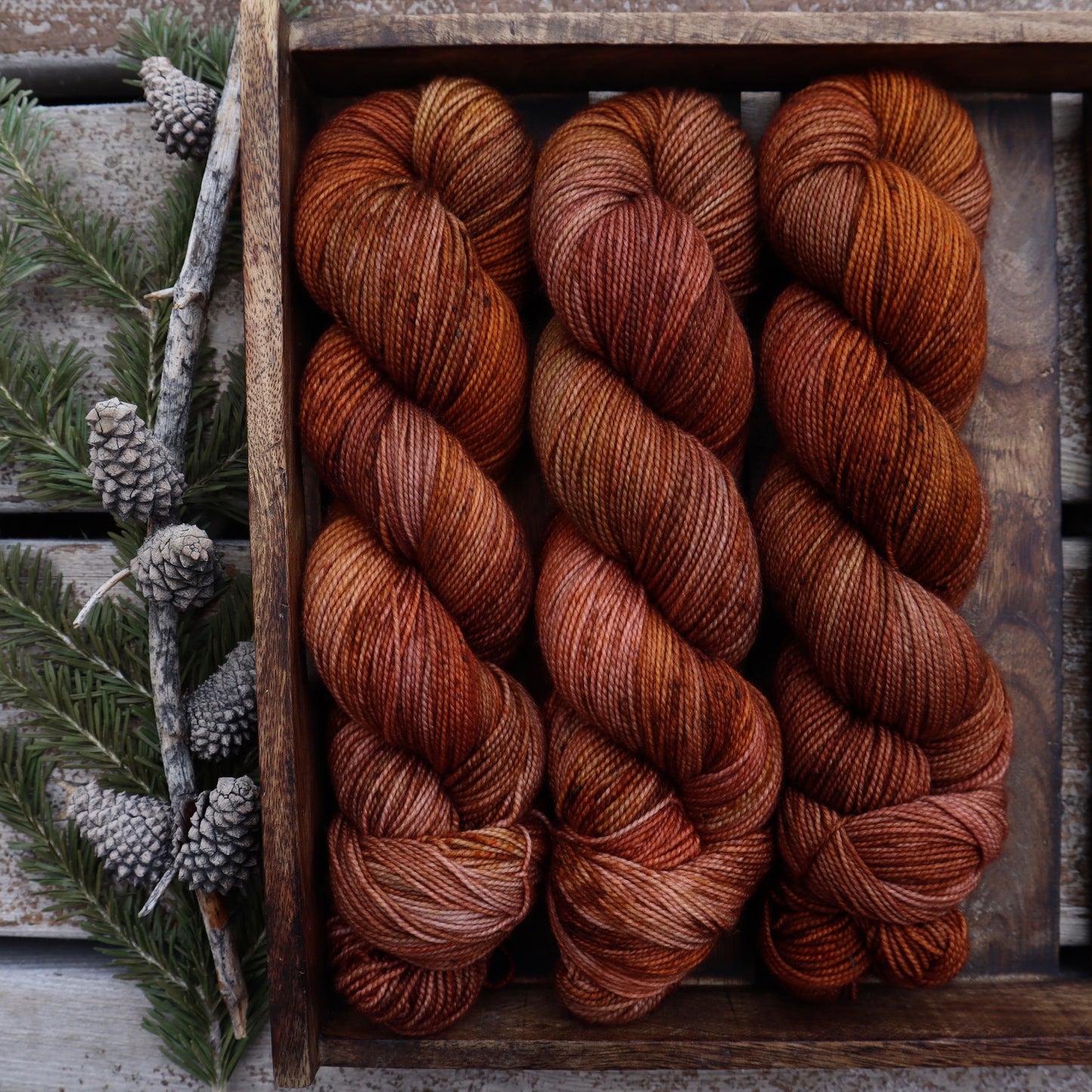 Peach Pumpkin (Bighorn)