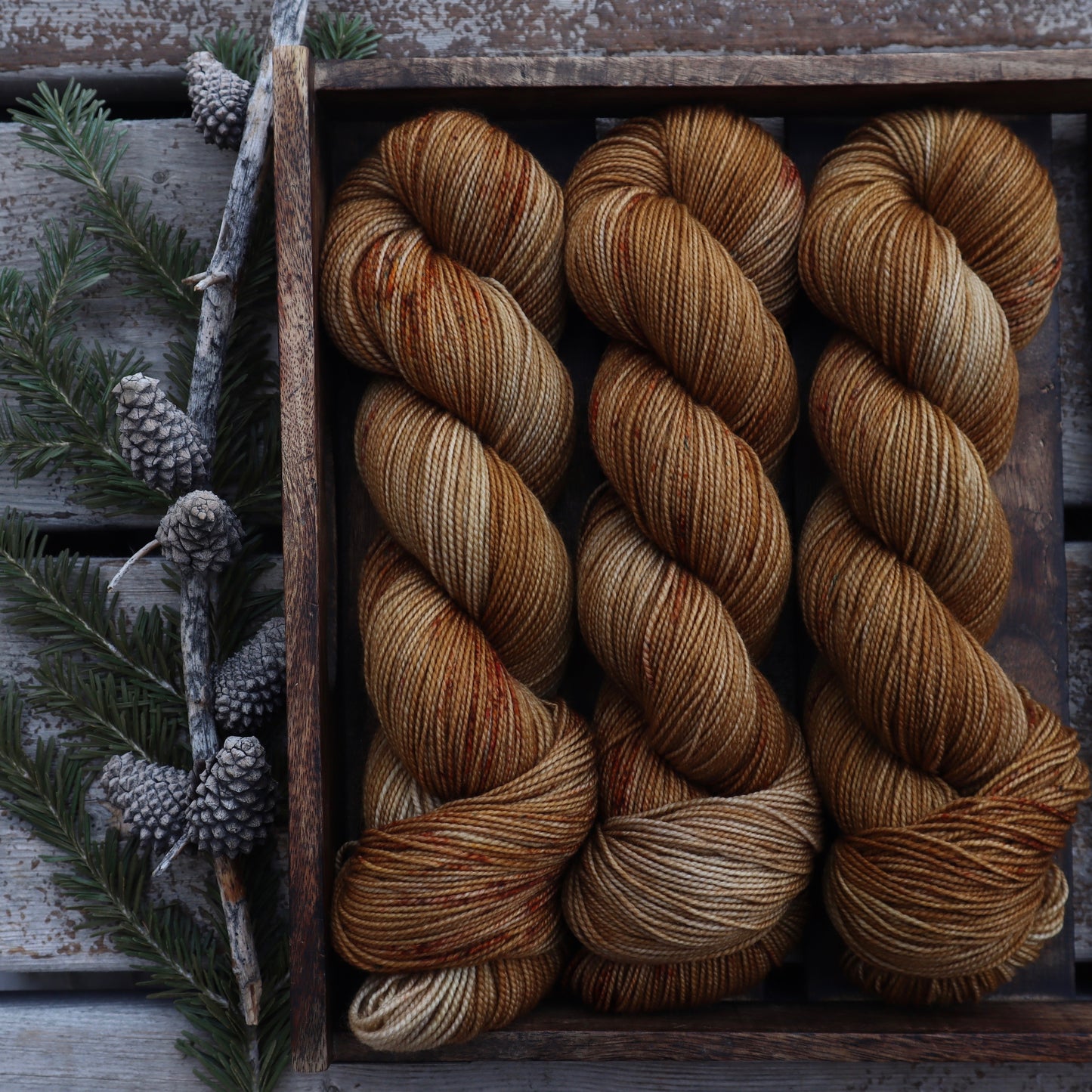 Cider Donut (Bighorn)