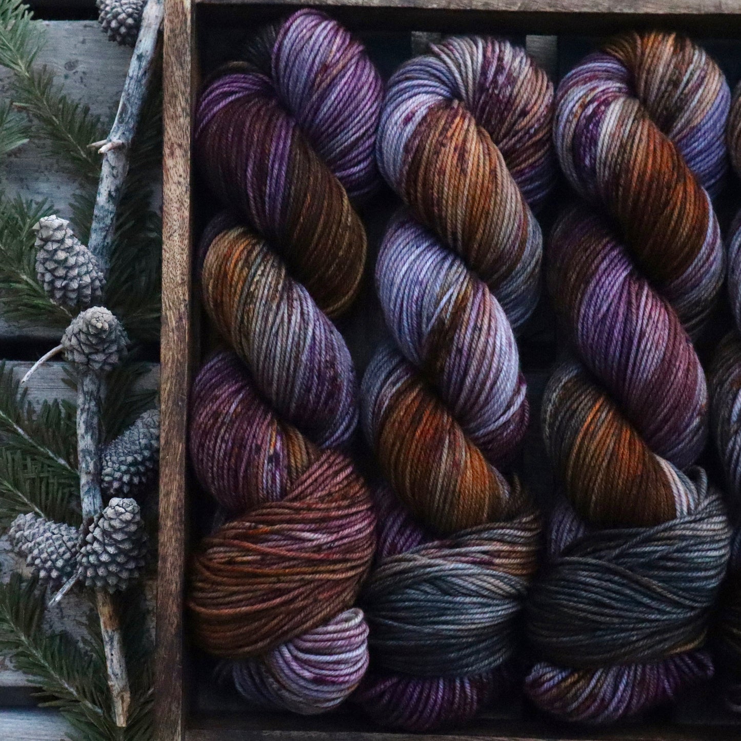 Halloween Socks (Bighorn DK)