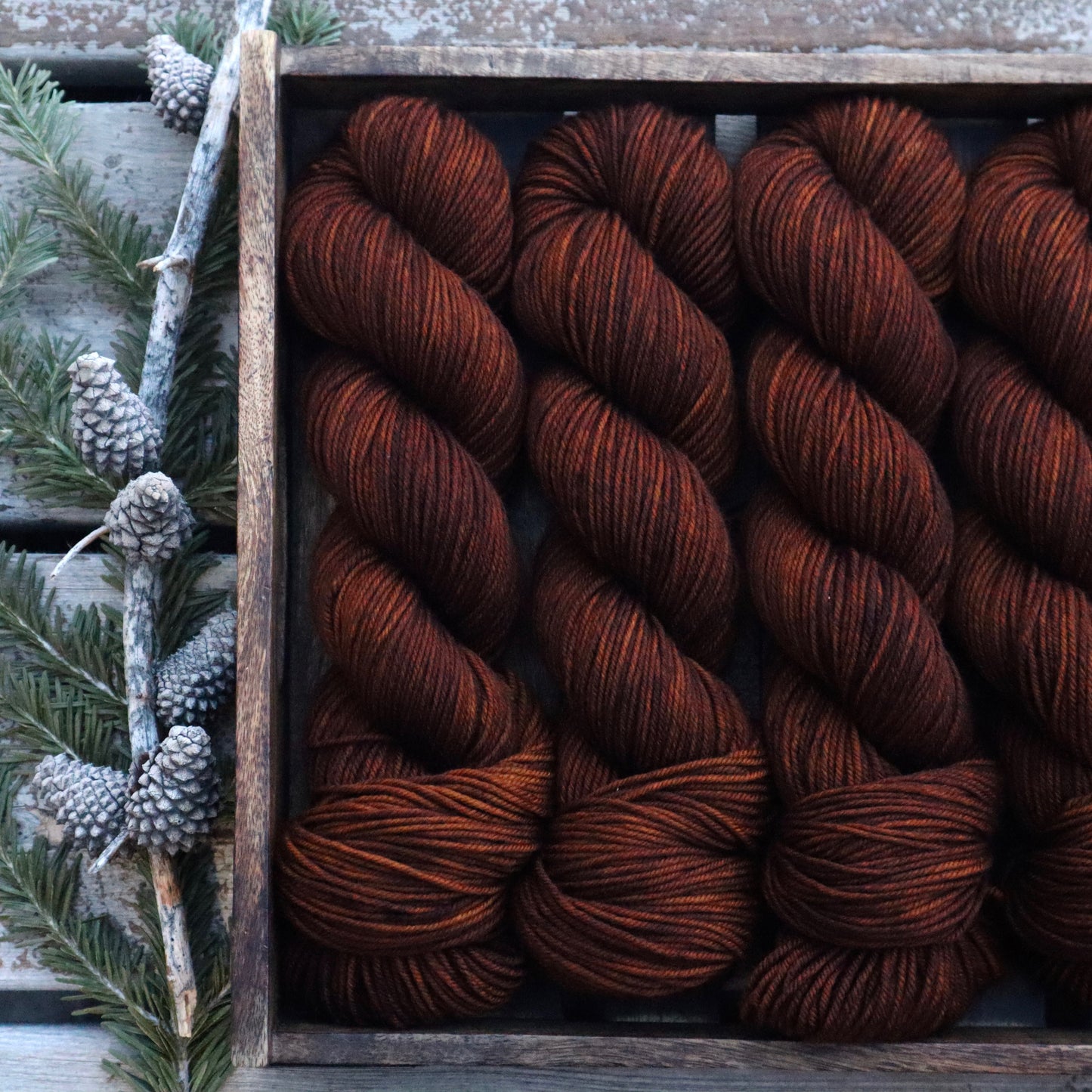 Spicy Pumpkin (Bighorn DK)