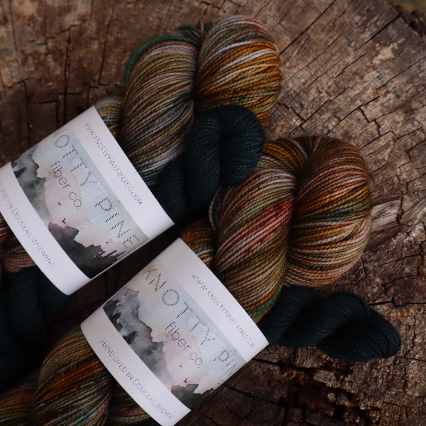 Winter is Coming Sock Set (Ready to Ship)